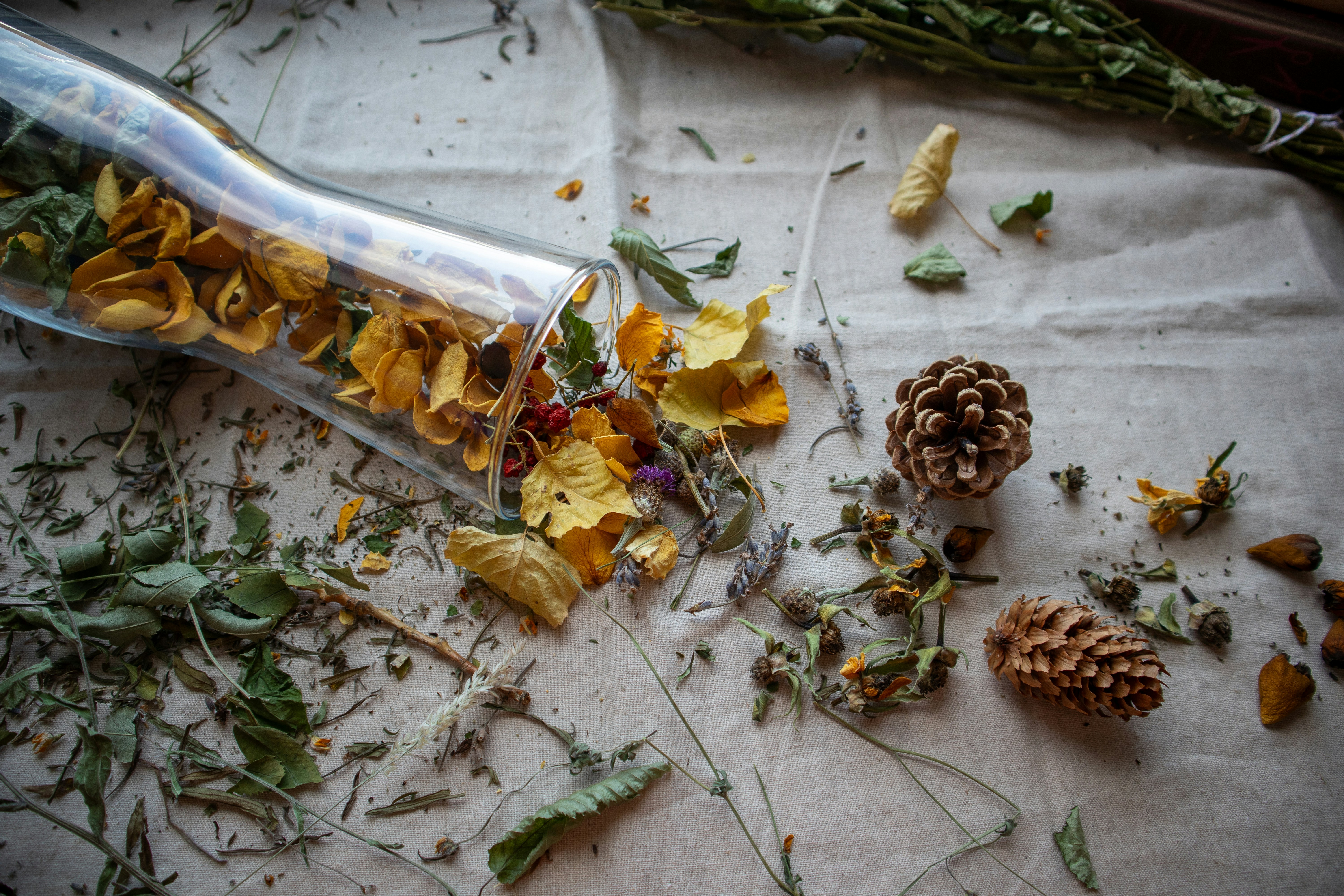 Photo by margarita30