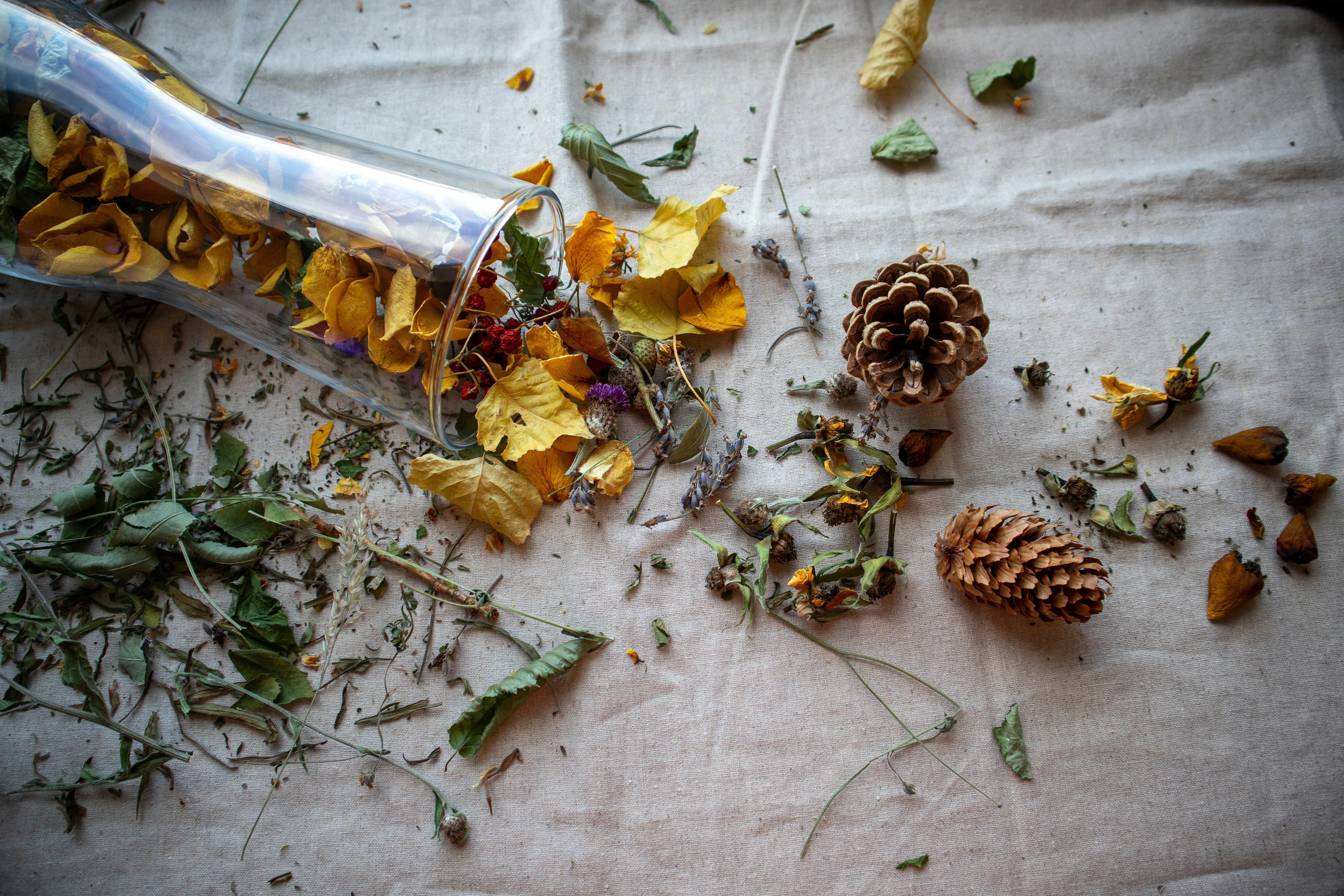 Photo by margarita30