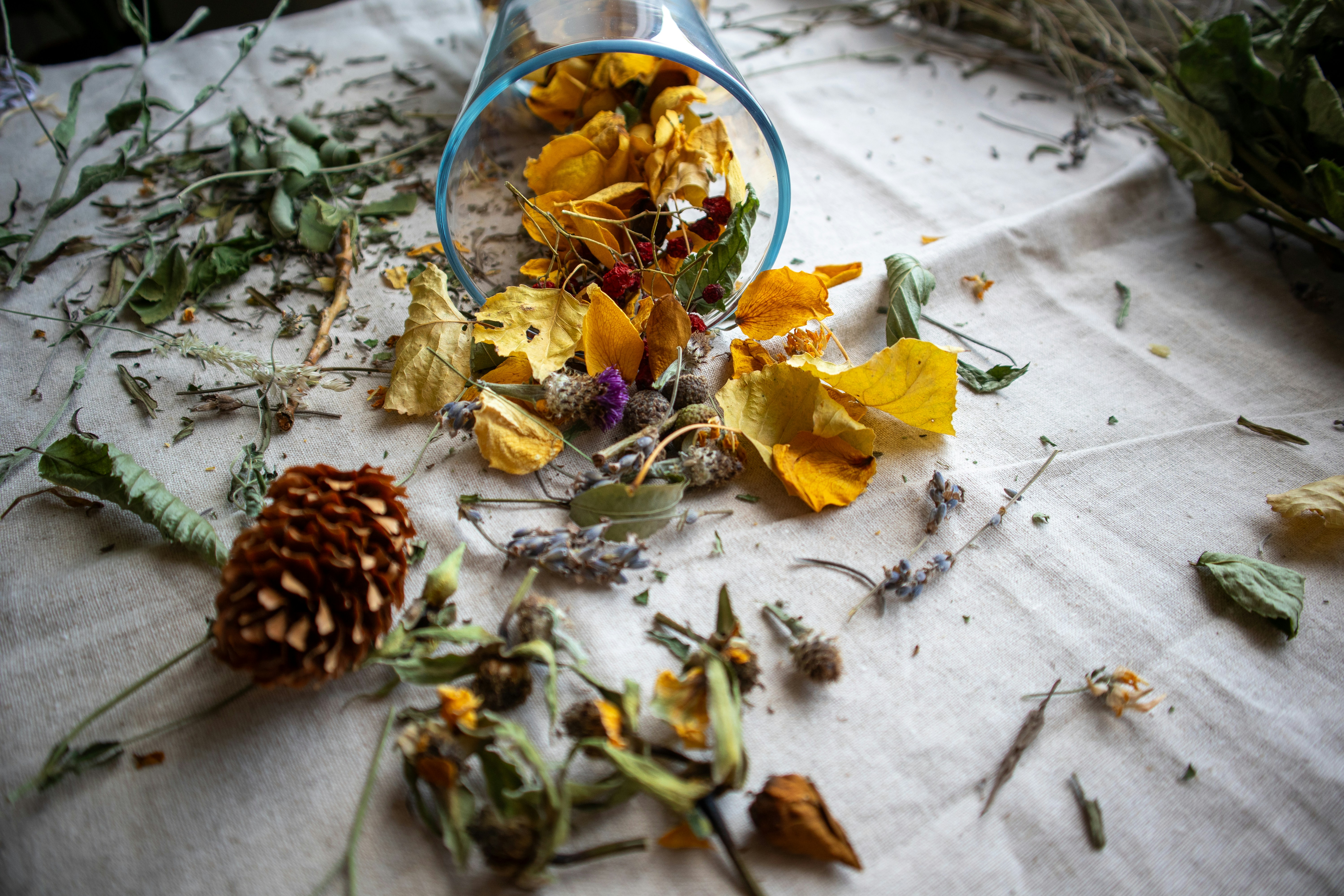 Photo by margarita30