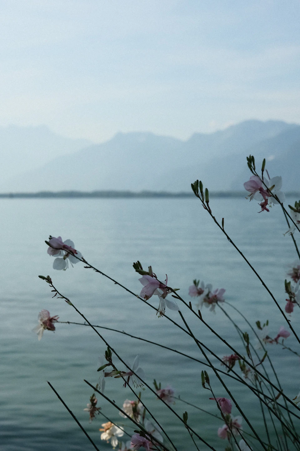 Serene lake scene with mountains in distance under light blue sky reflecting surrounding landscape