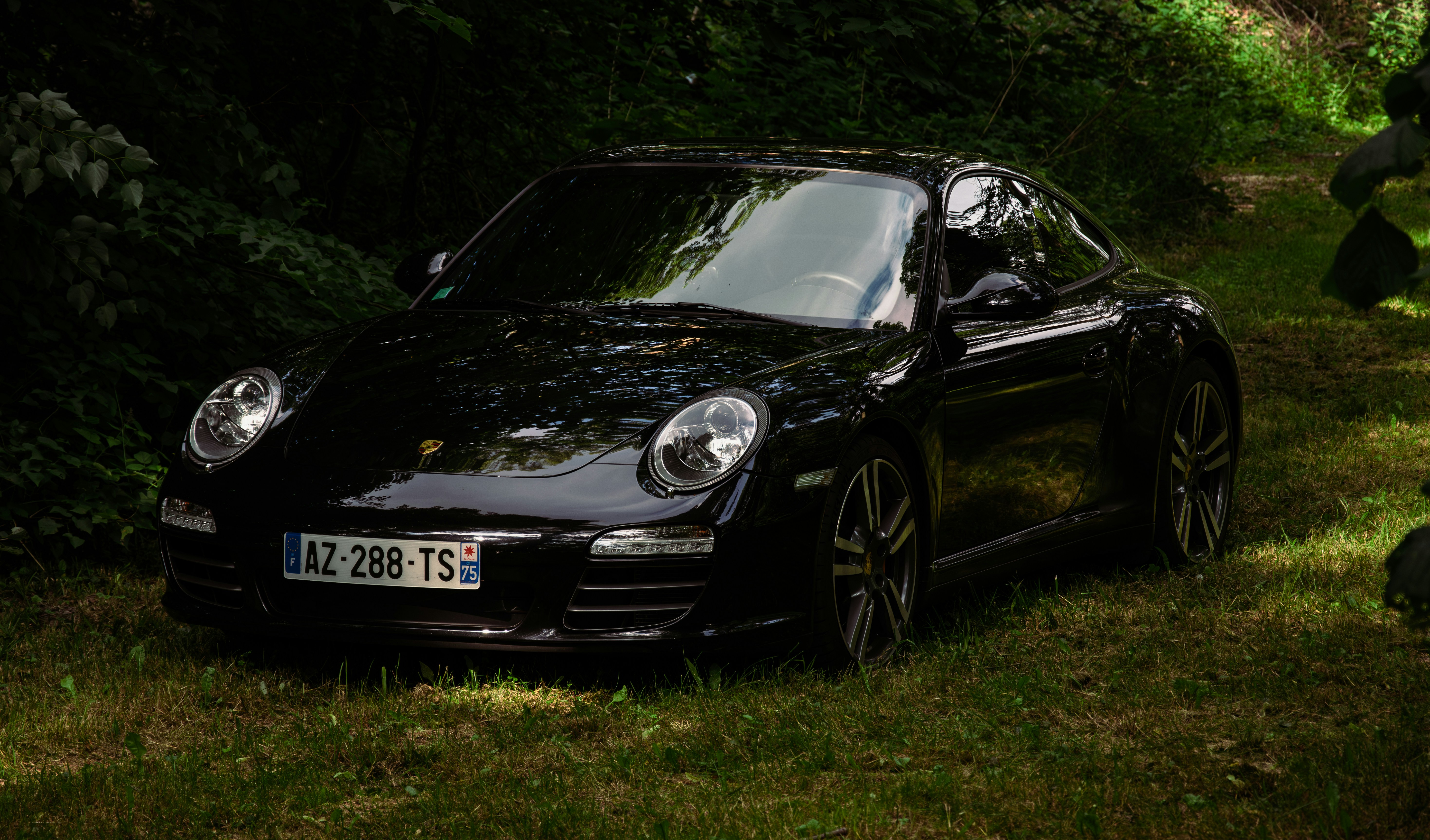 A black sports car parked in the grass