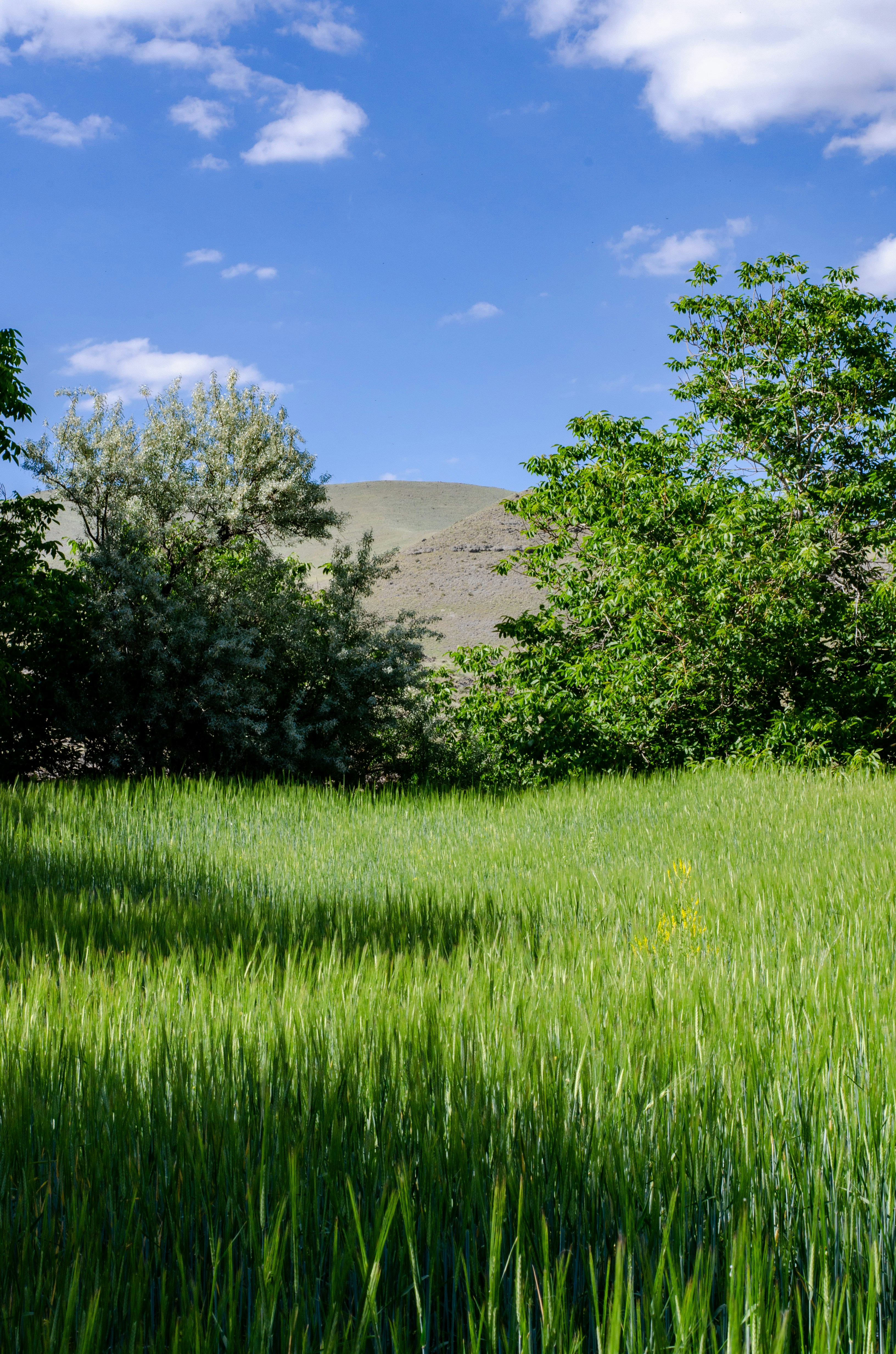 Photo by m_mohammadpour