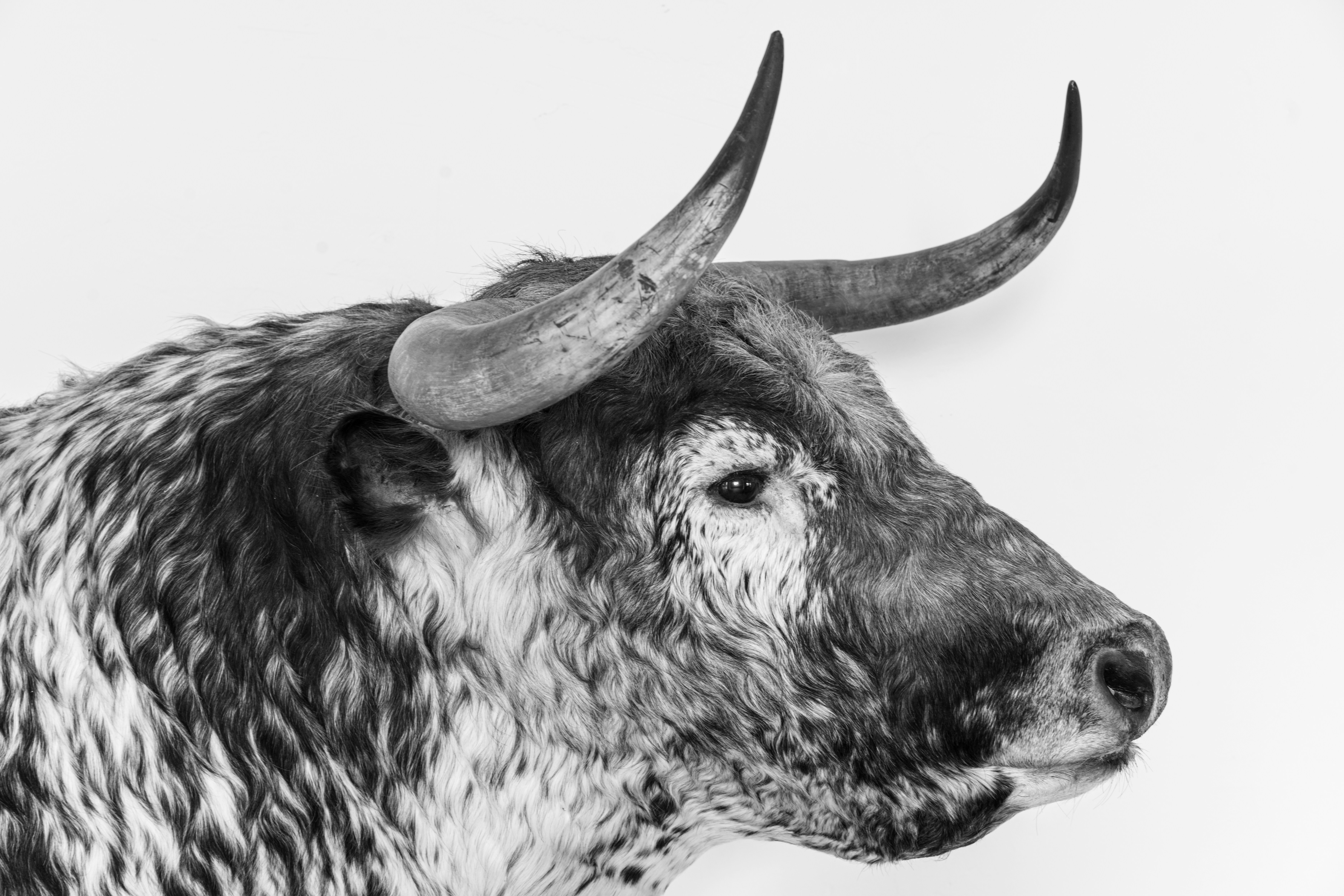 Photo by paulkennymcgrath