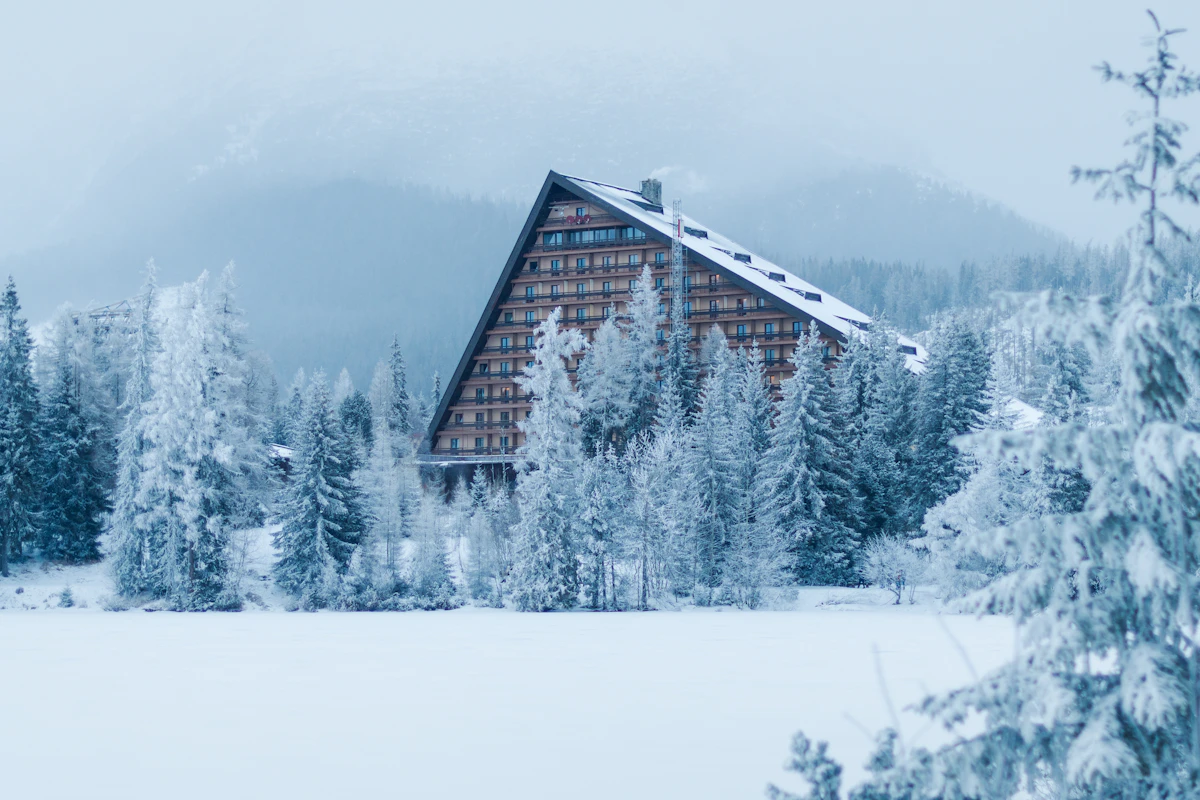 Wooden cabin surrounded by snow-covered pine trees