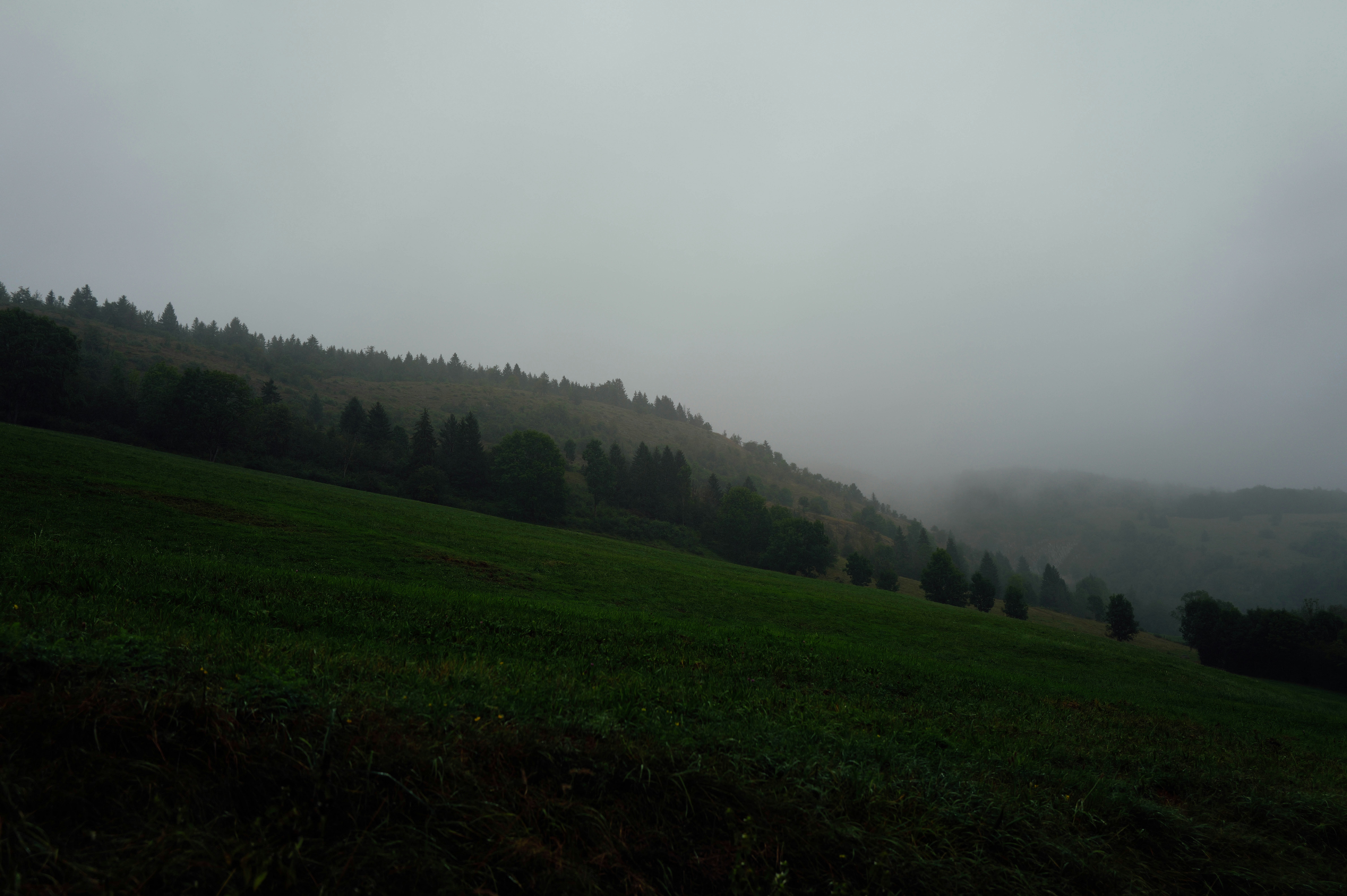 Photo by adrienolichon