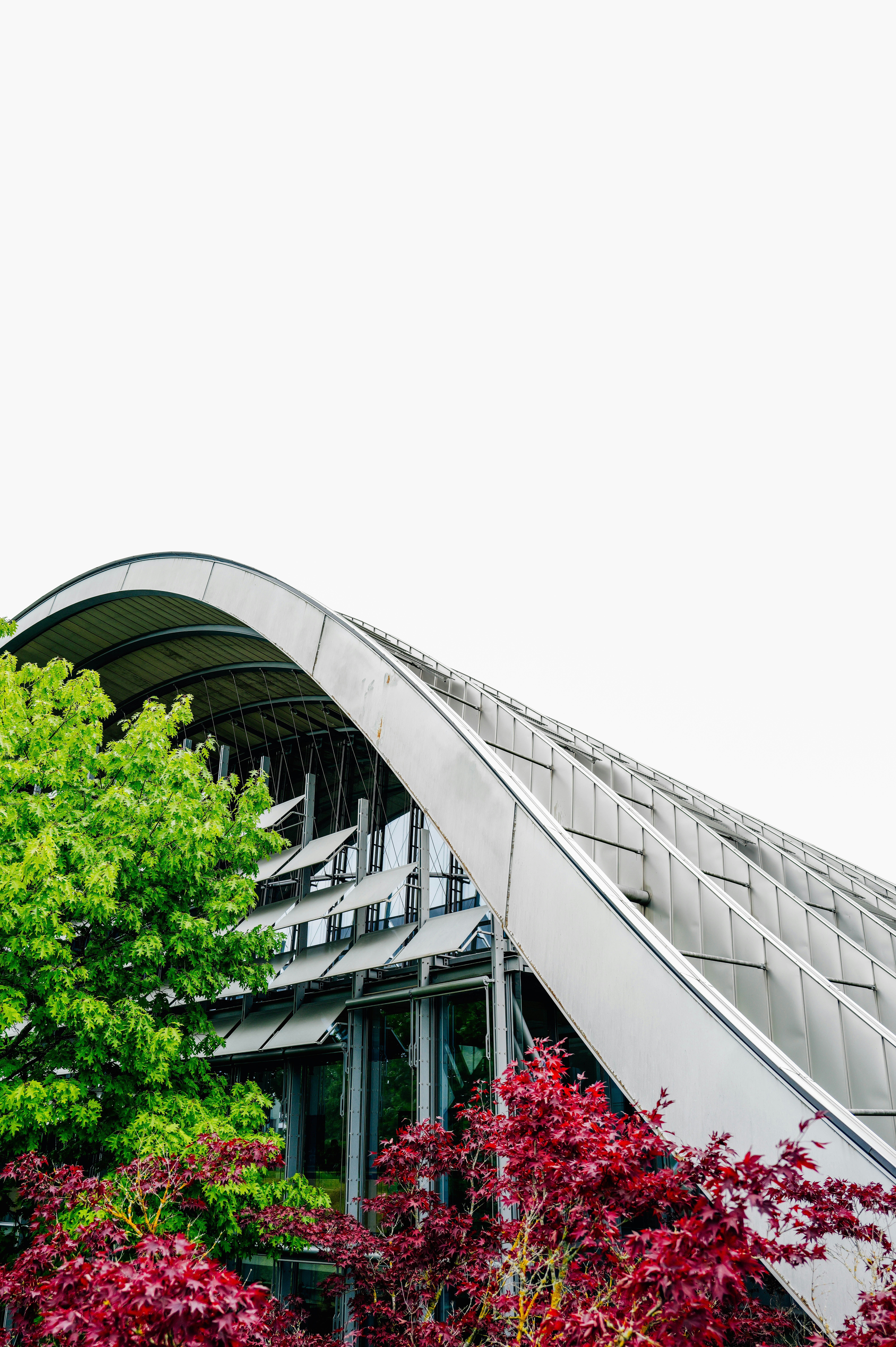 Photo by adrienolichon