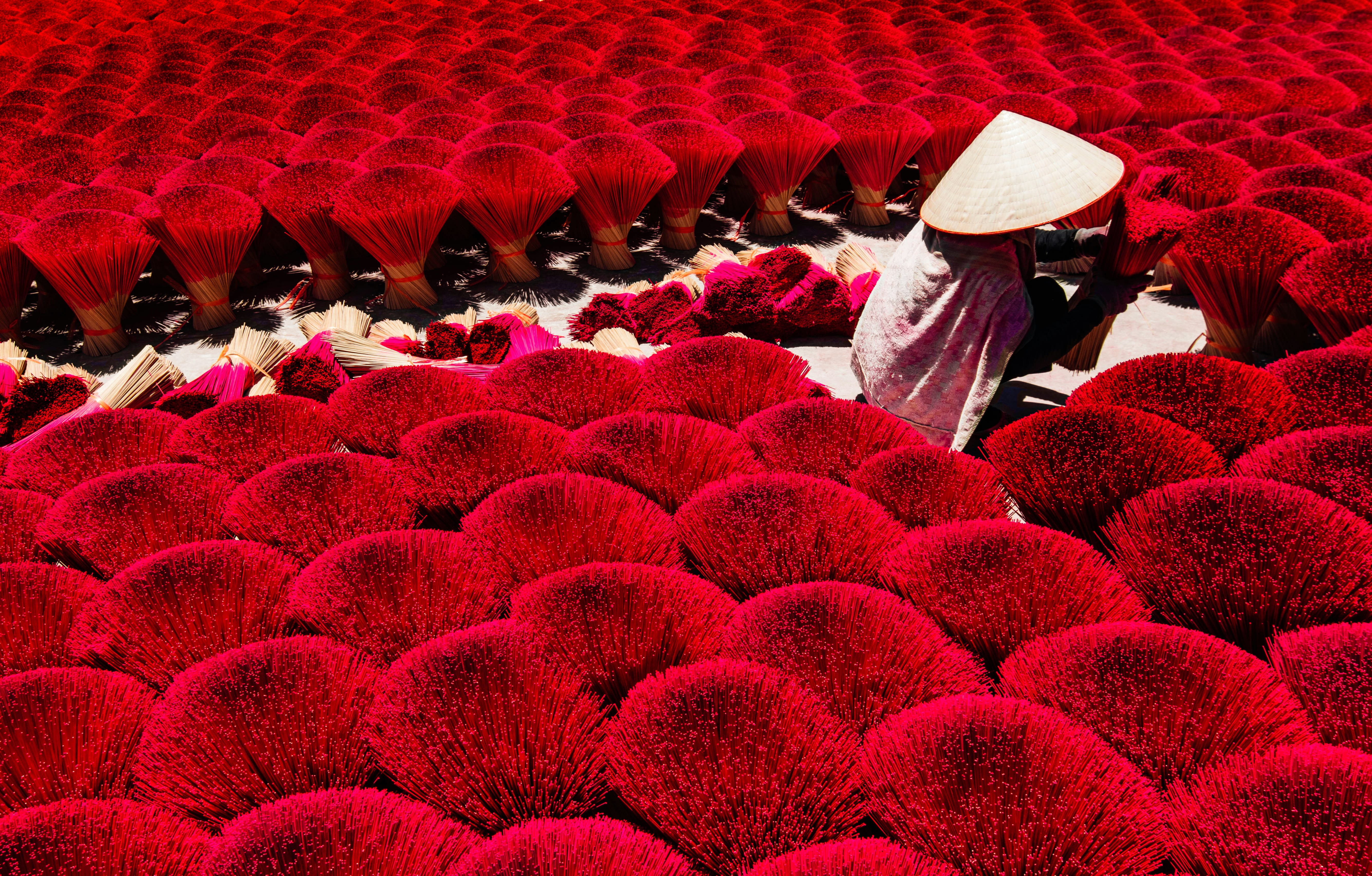 Red and white flowers field