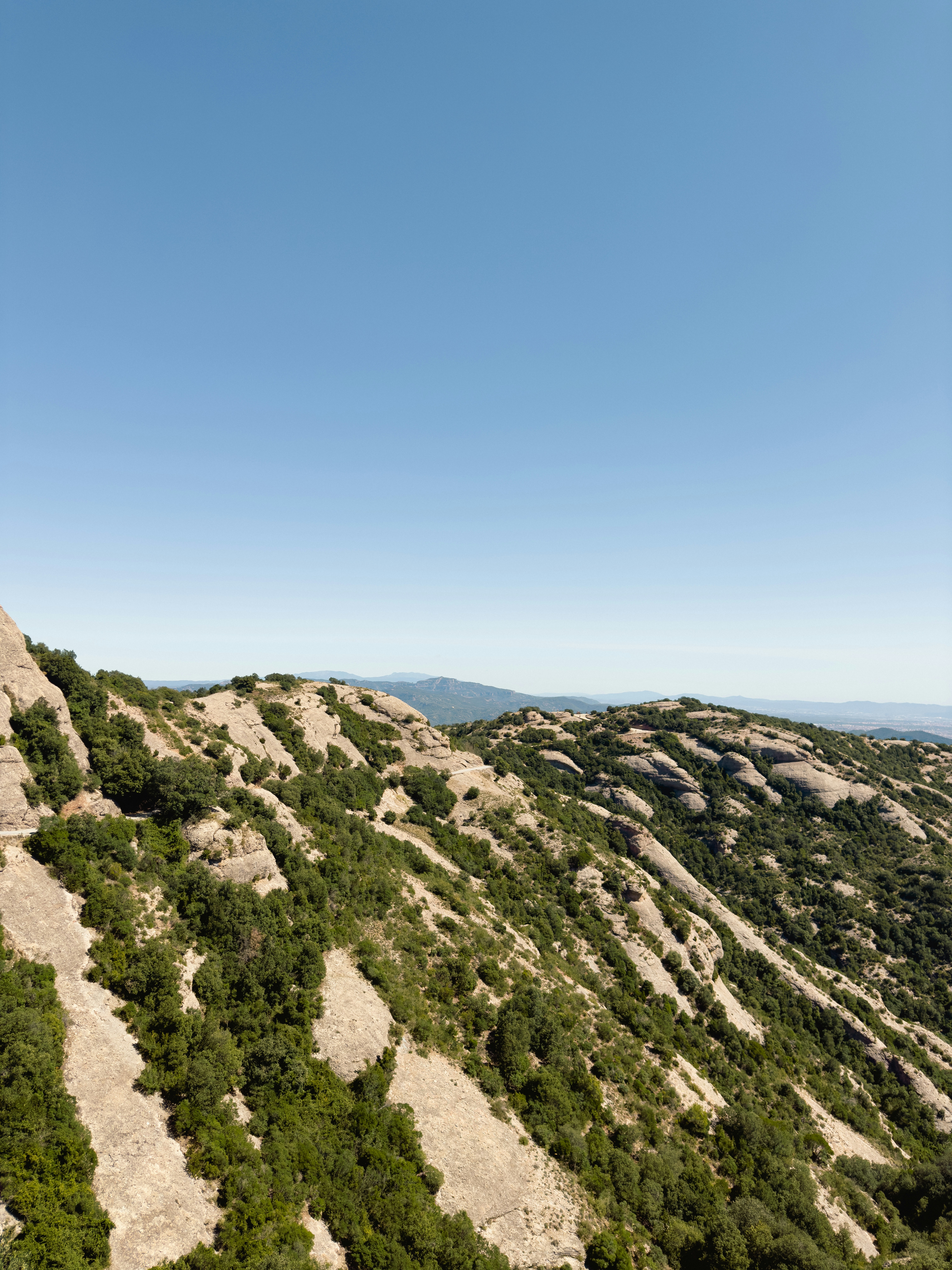 Photo by nateh0lland