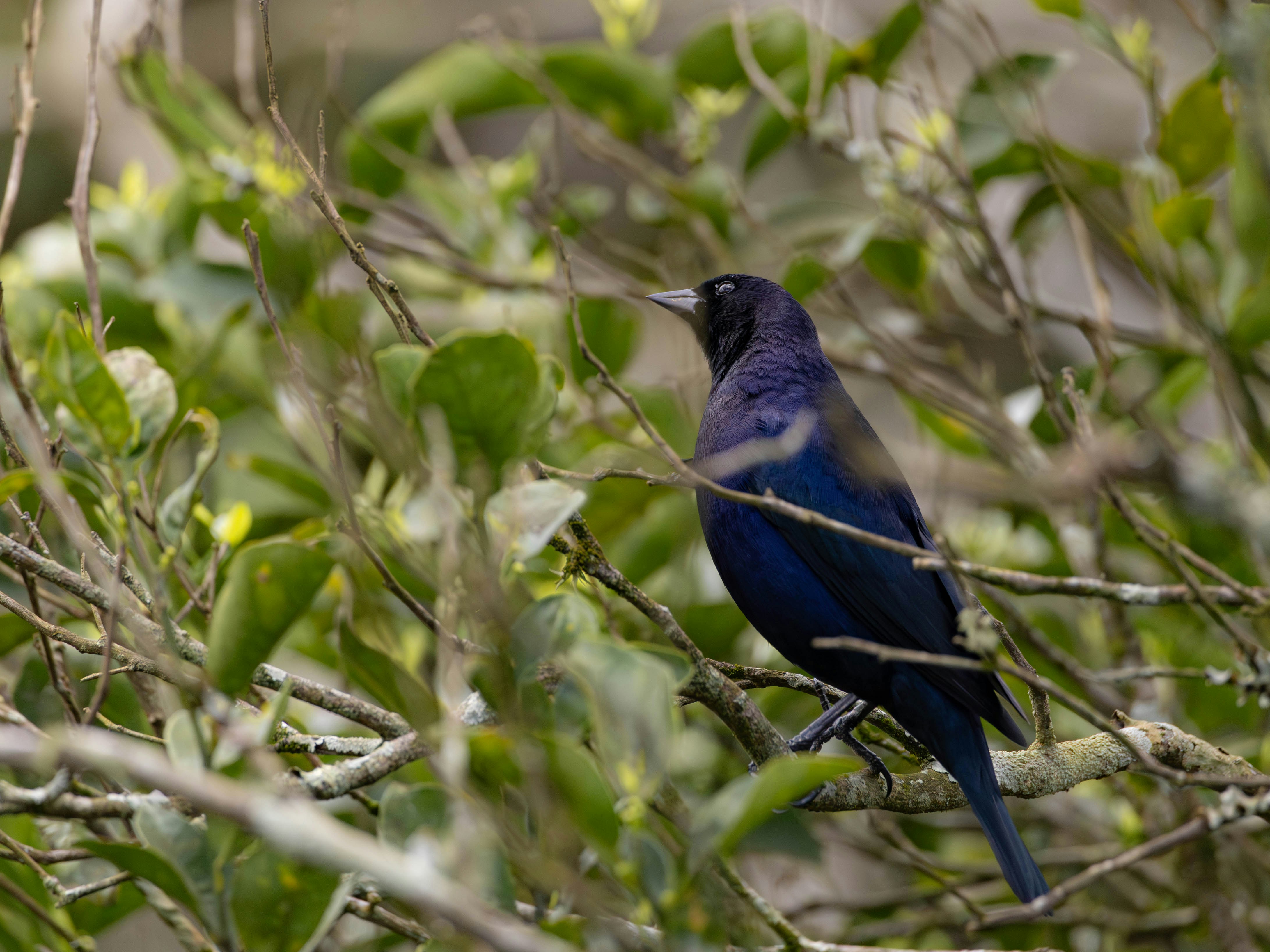 Photo by matheuskprot