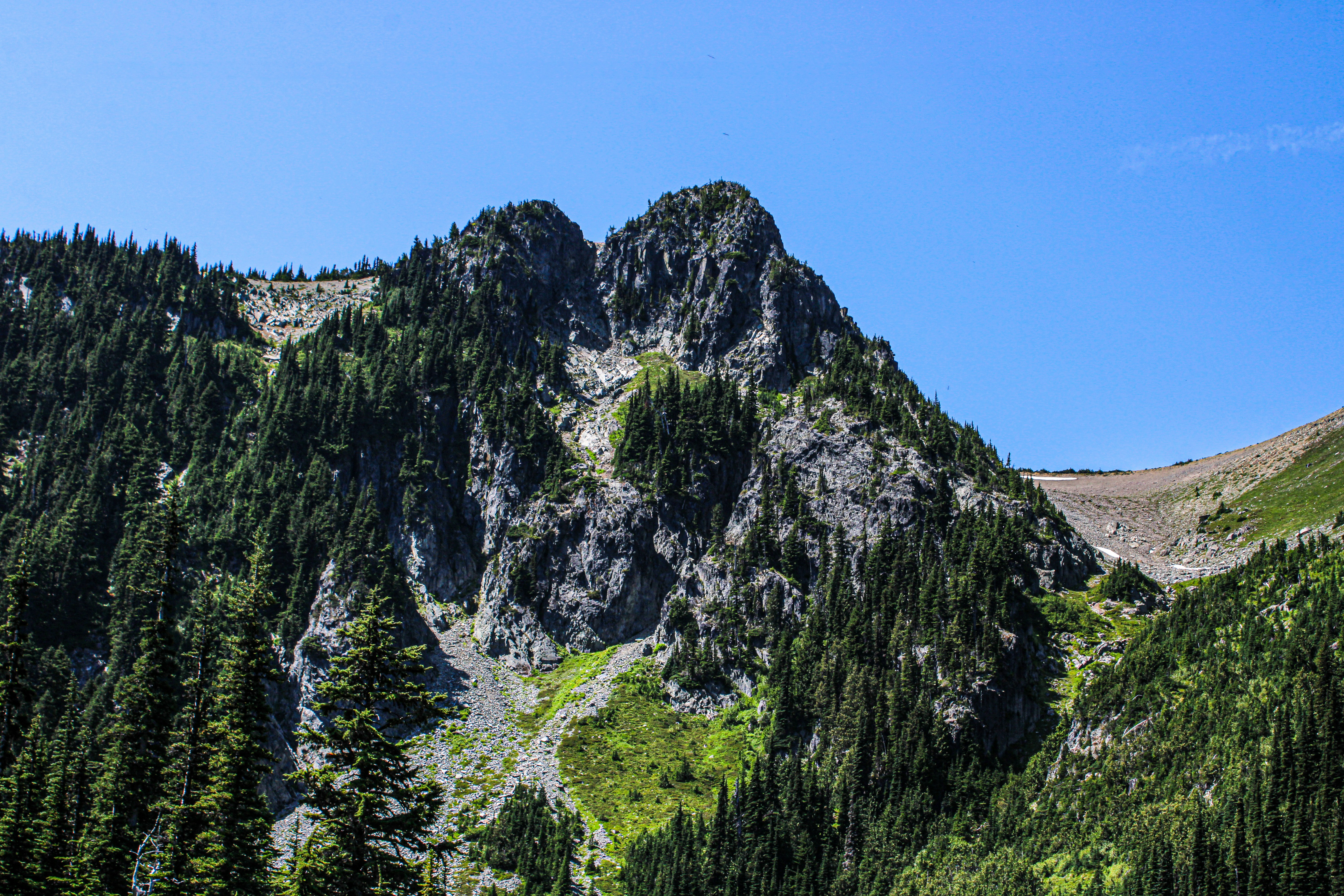 Photo by prphotography262