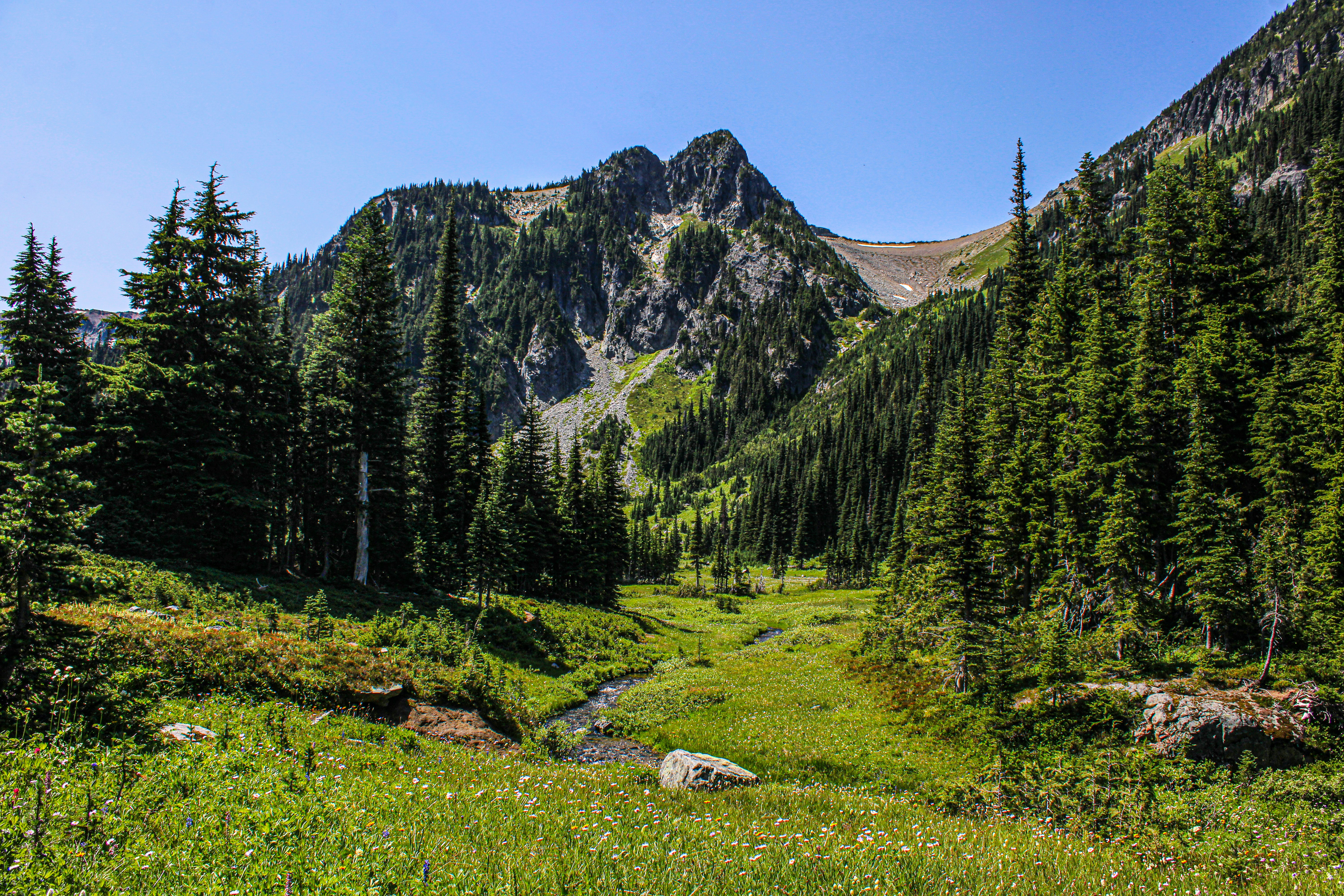 Photo by prphotography262