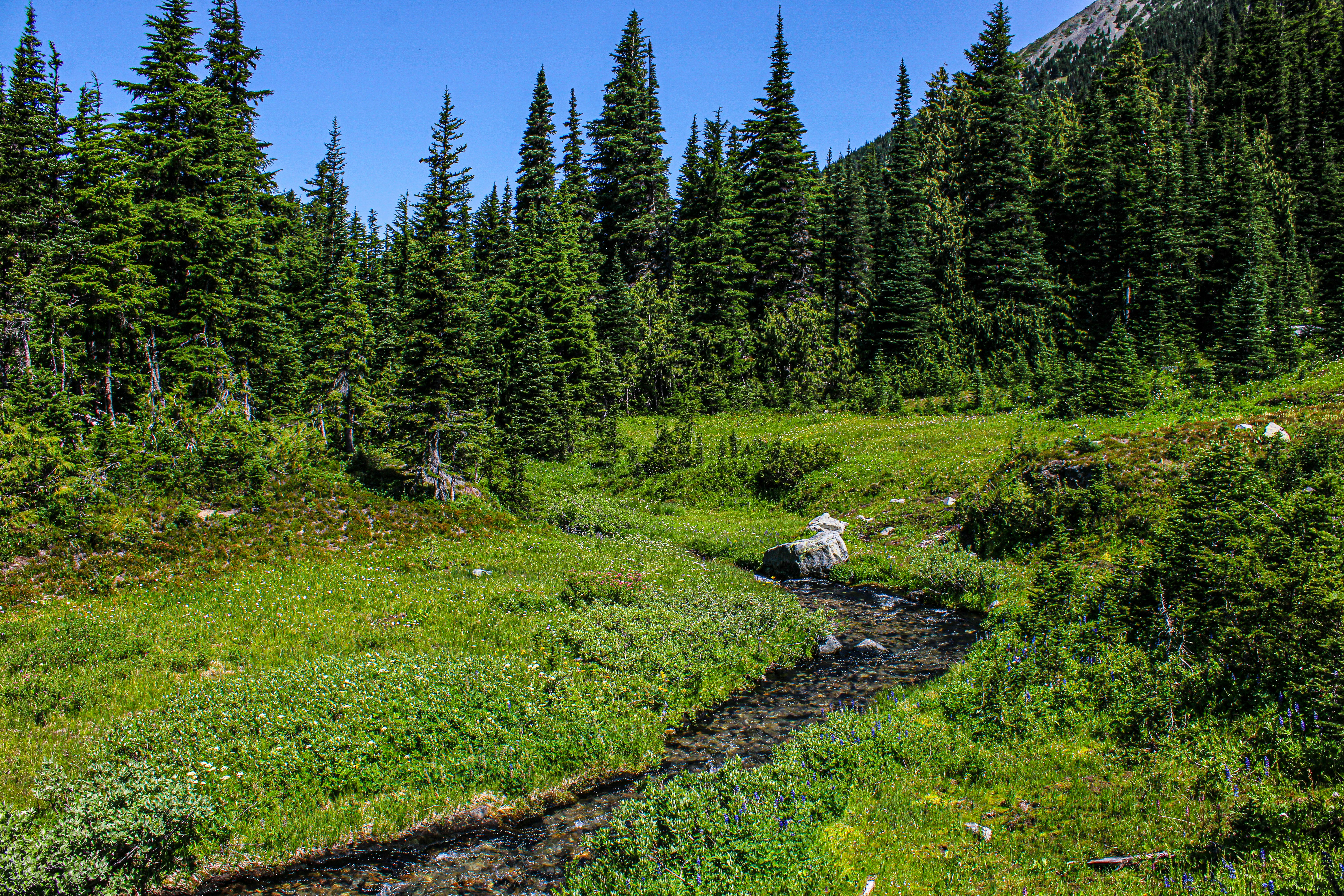 Photo by prphotography262