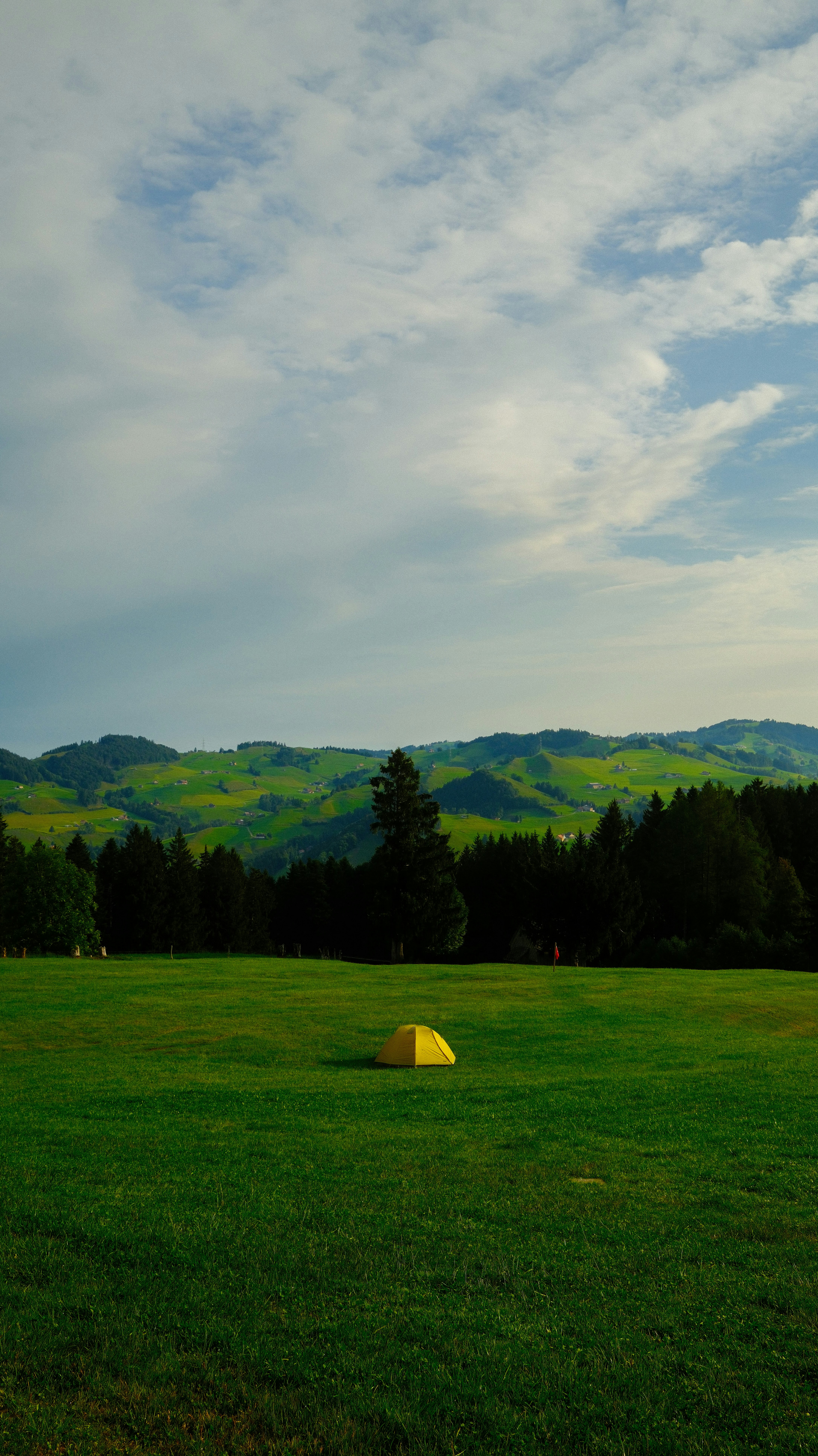 Un campo con una pelota amarilla en el centro