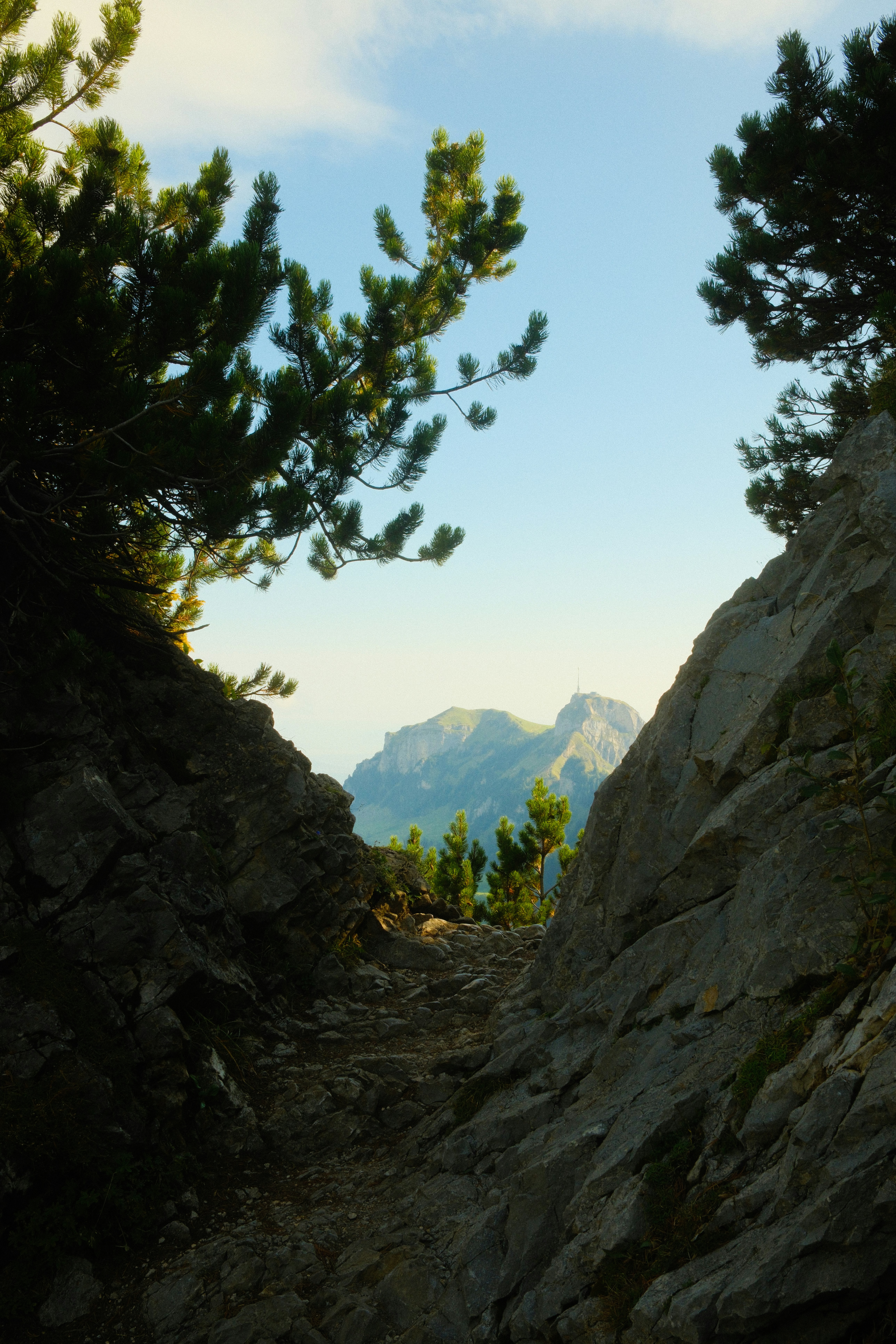 Una vista de las montañas desde un sendero rocoso