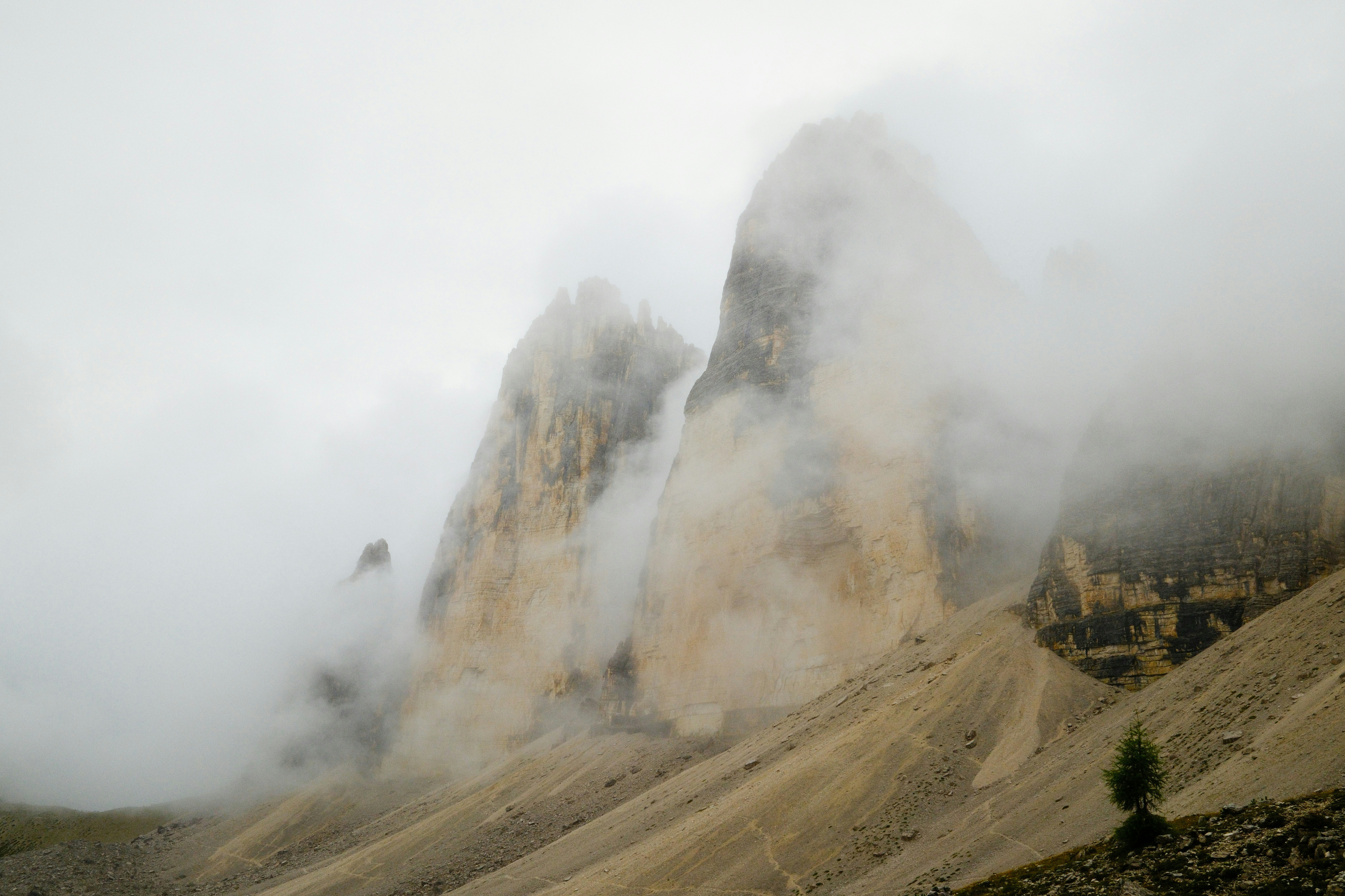 클린처와 튜브리스 타이어의 차이는 무엇인가요?