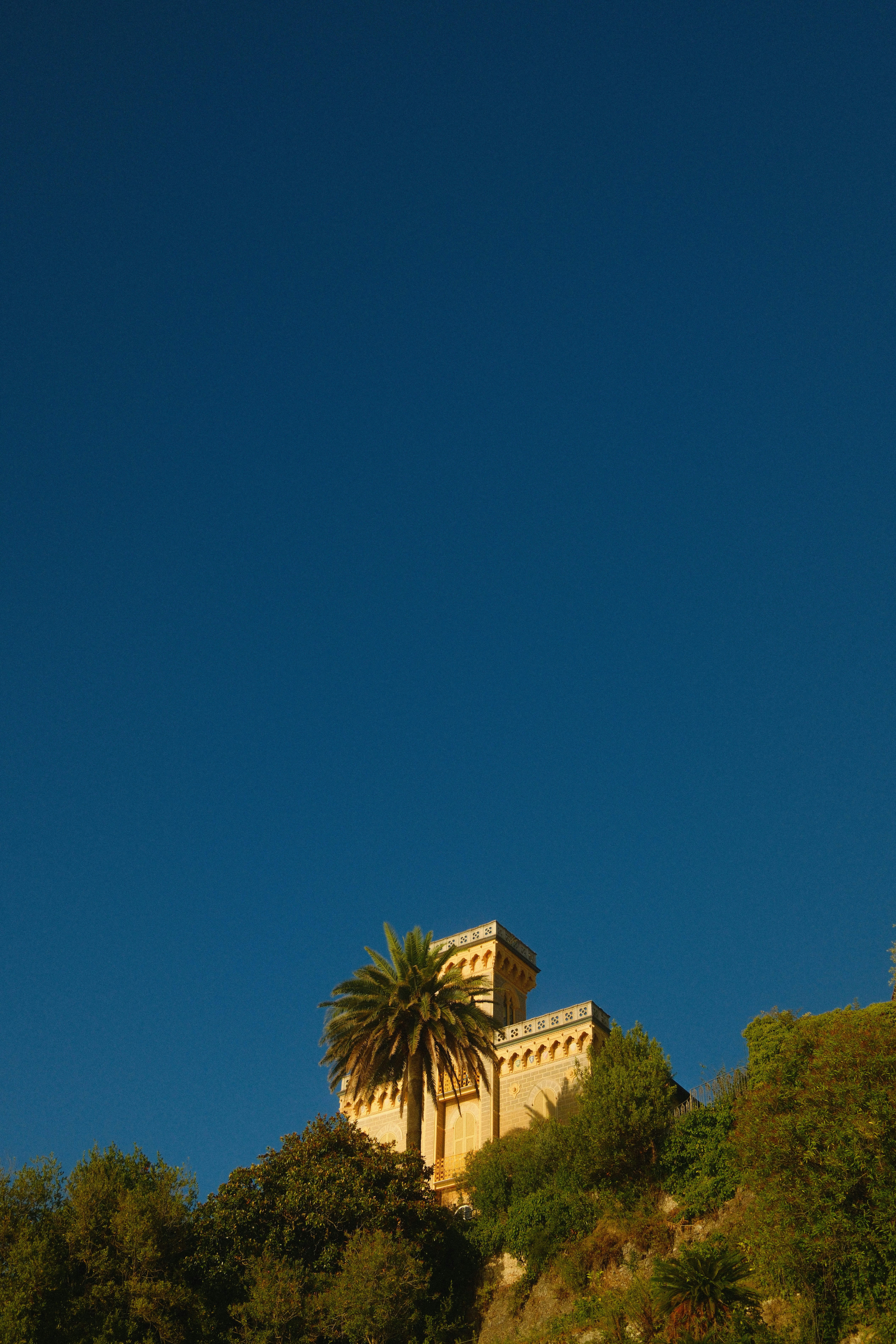 Un edificio en una colina con una palmera en la cima