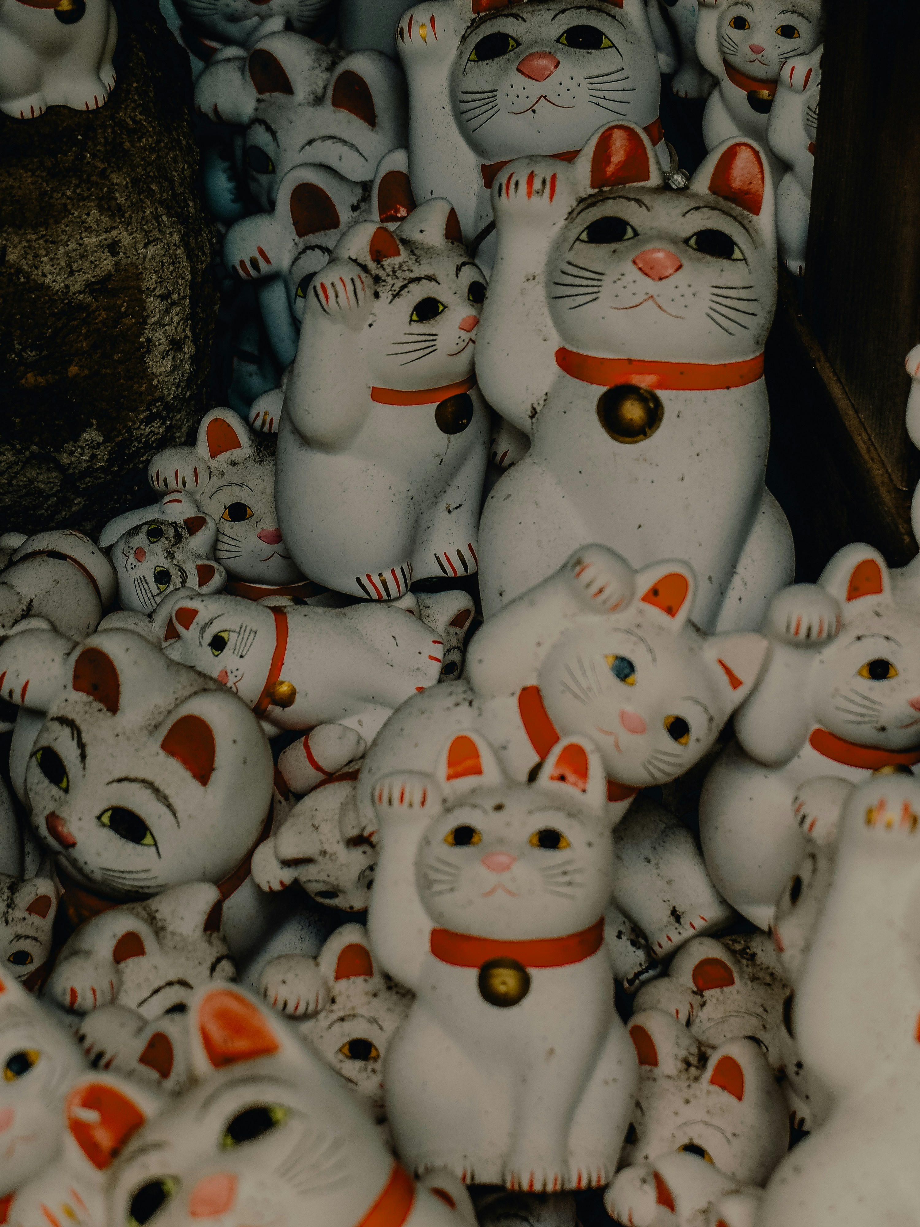 A bunch of white cats that are sitting together