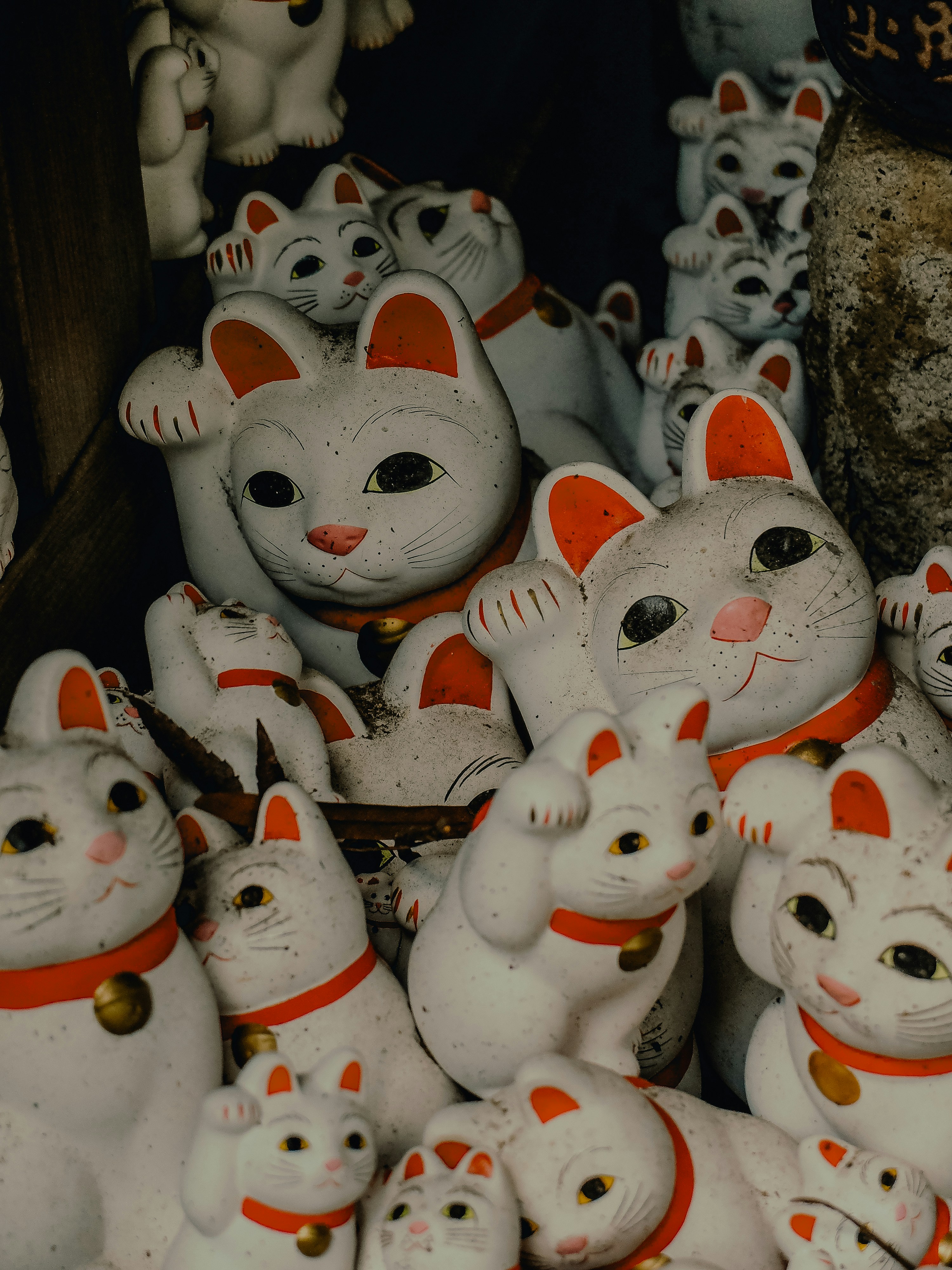 Photo by elisadventure_photo