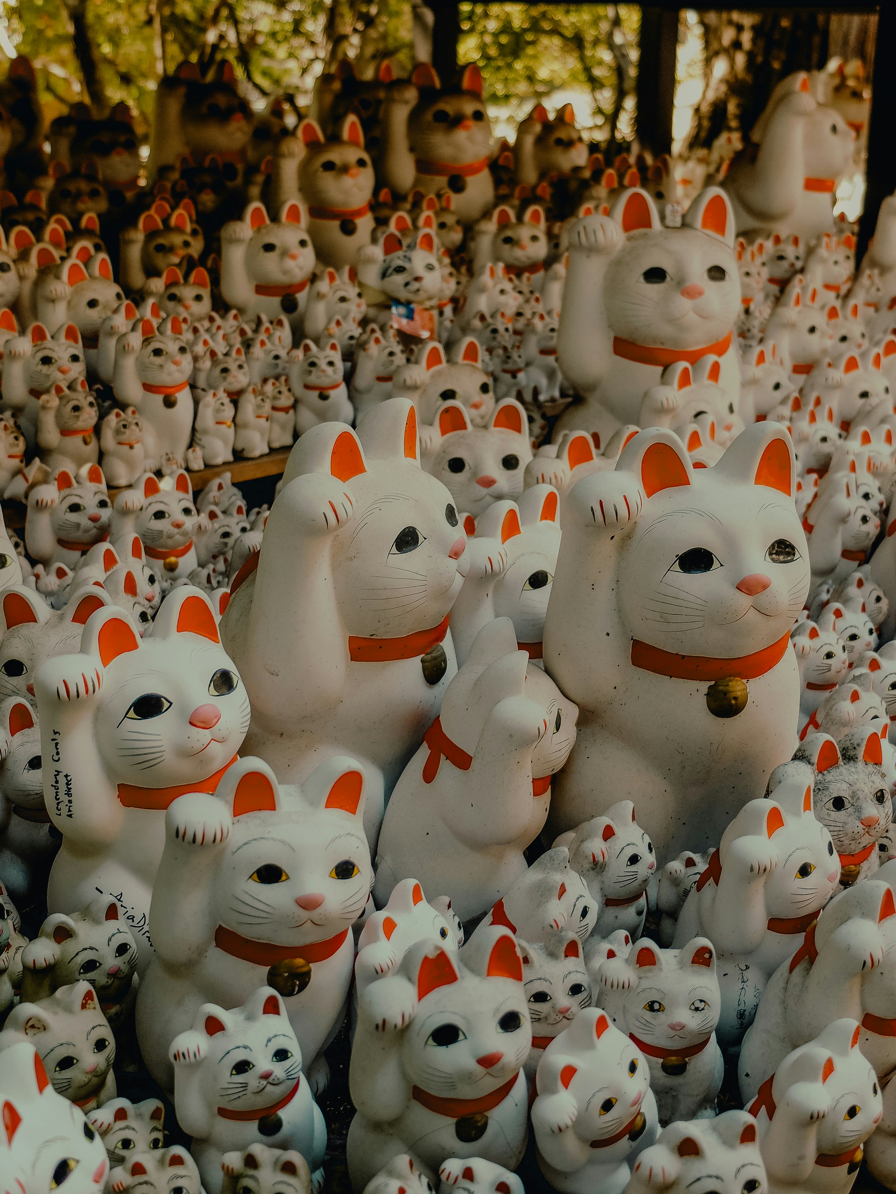 Photo by elisadventure_photo