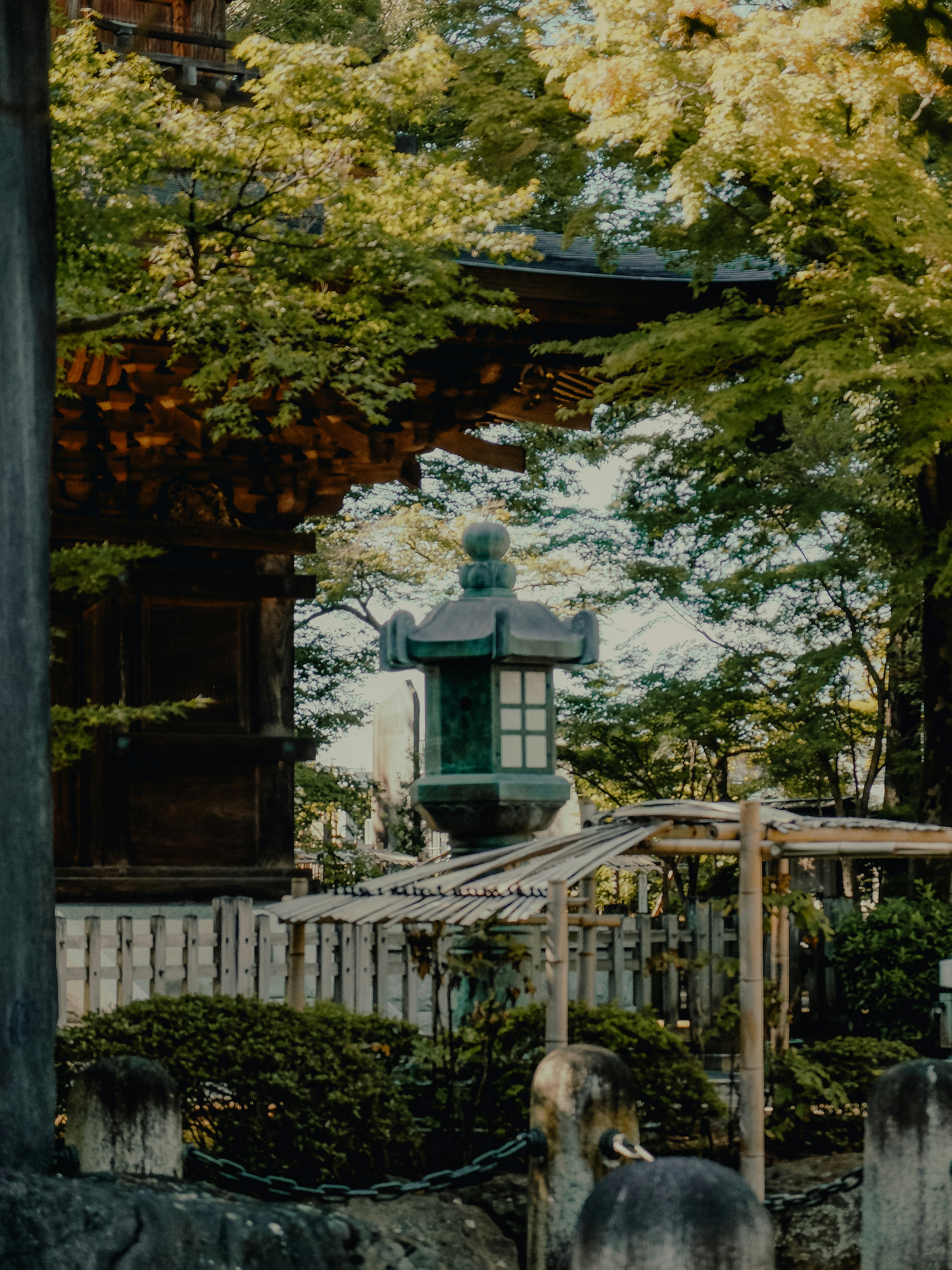 Photo by elisadventure_photo