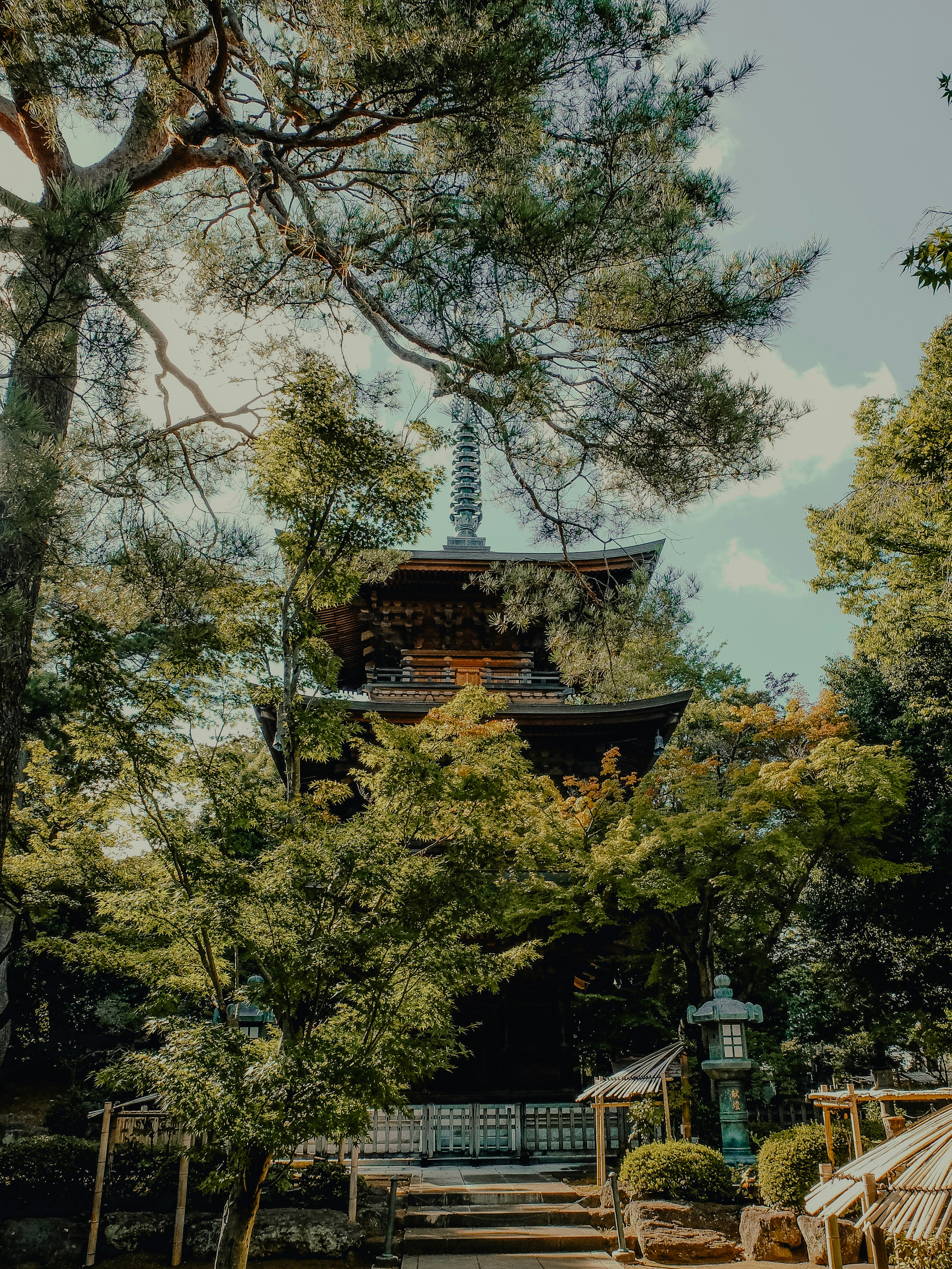 Photo by elisadventure_photo