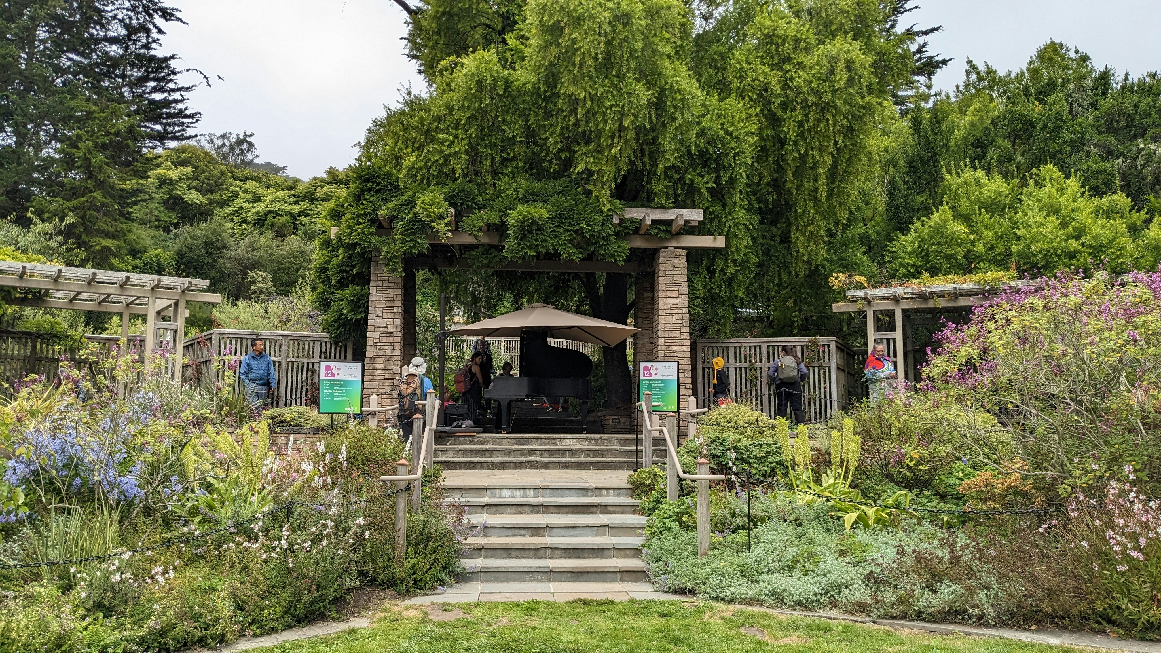 Jazz quartet performing at outdoor garden venue, warm evening light, lush green backdrop