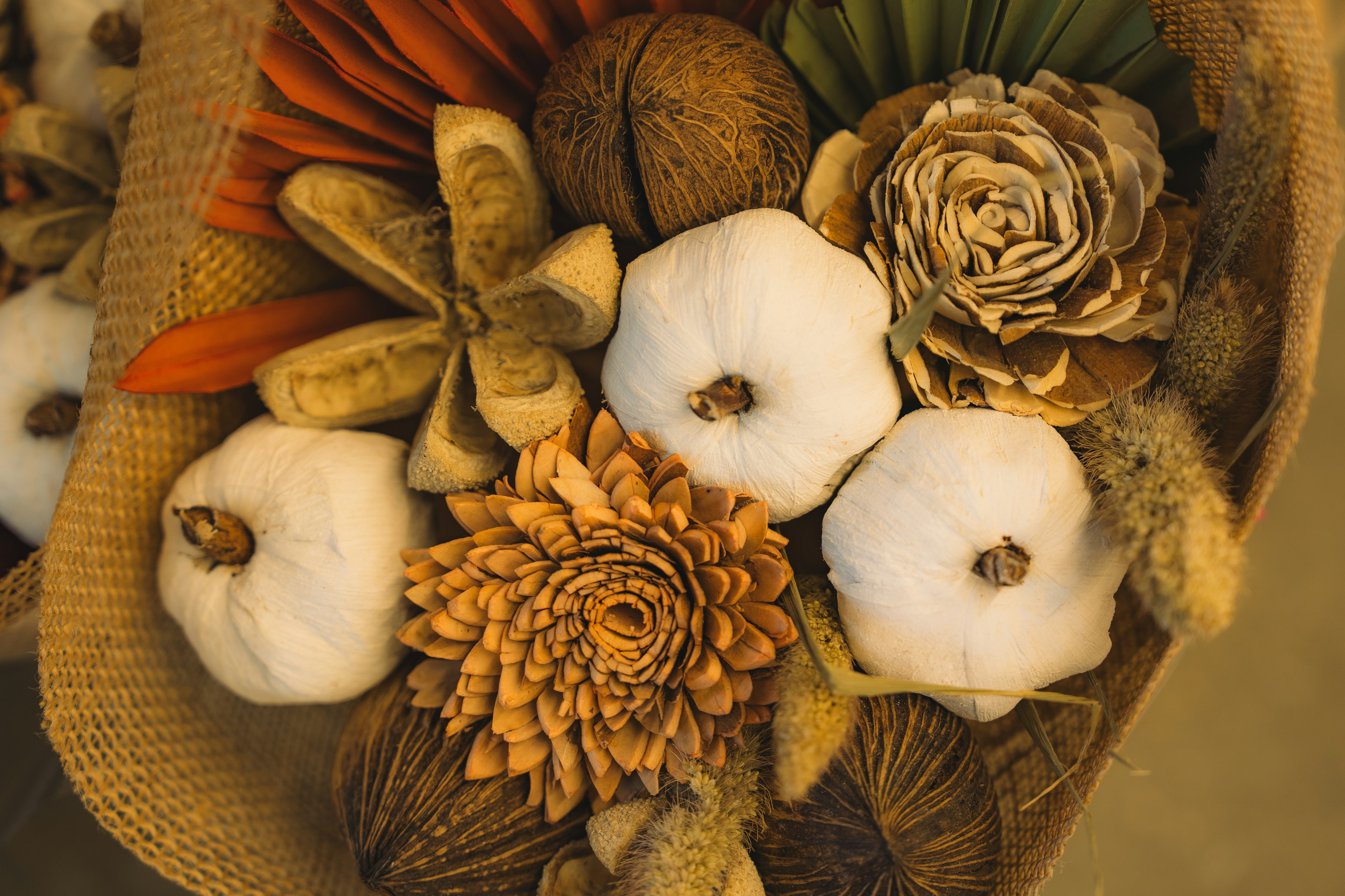 Photo by viveksumanth