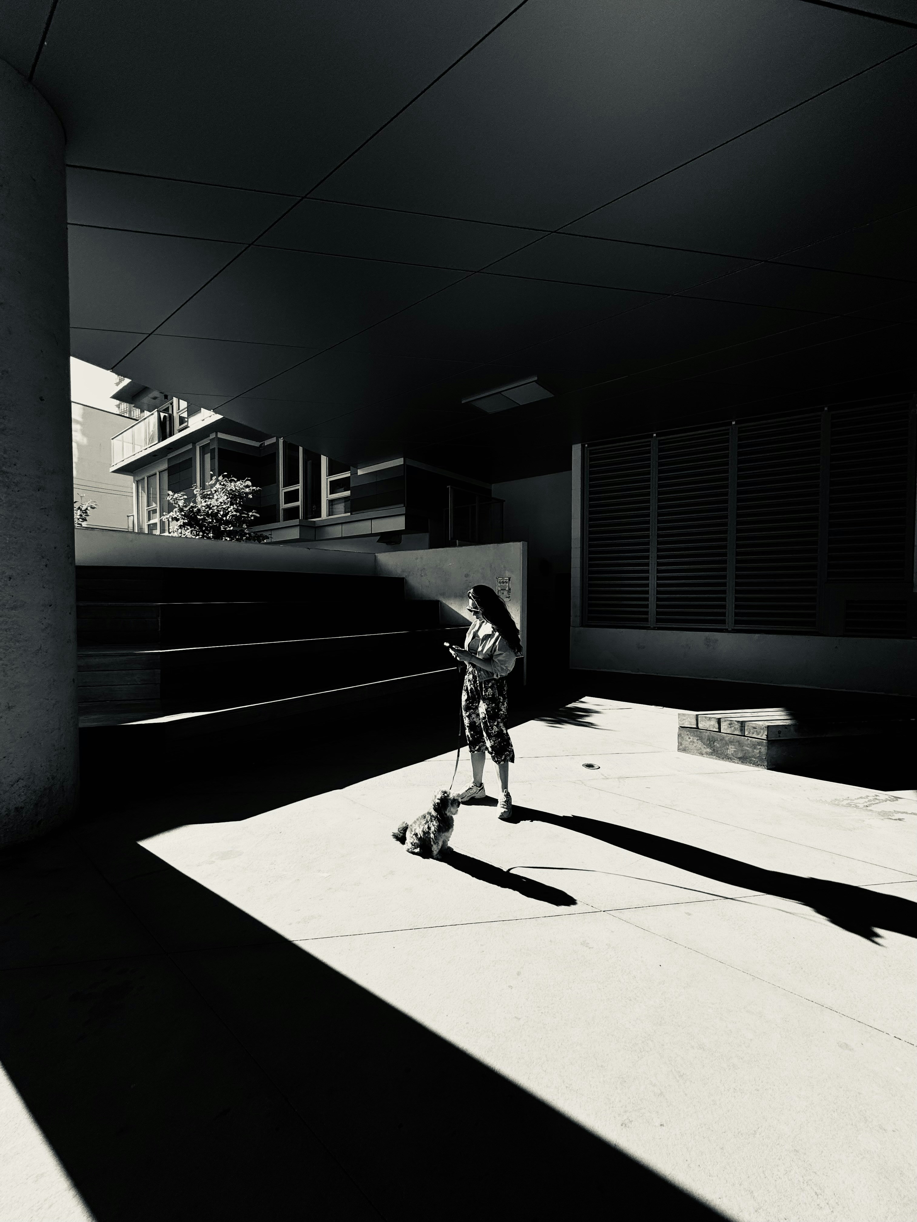 Photo by ardalanhamedani