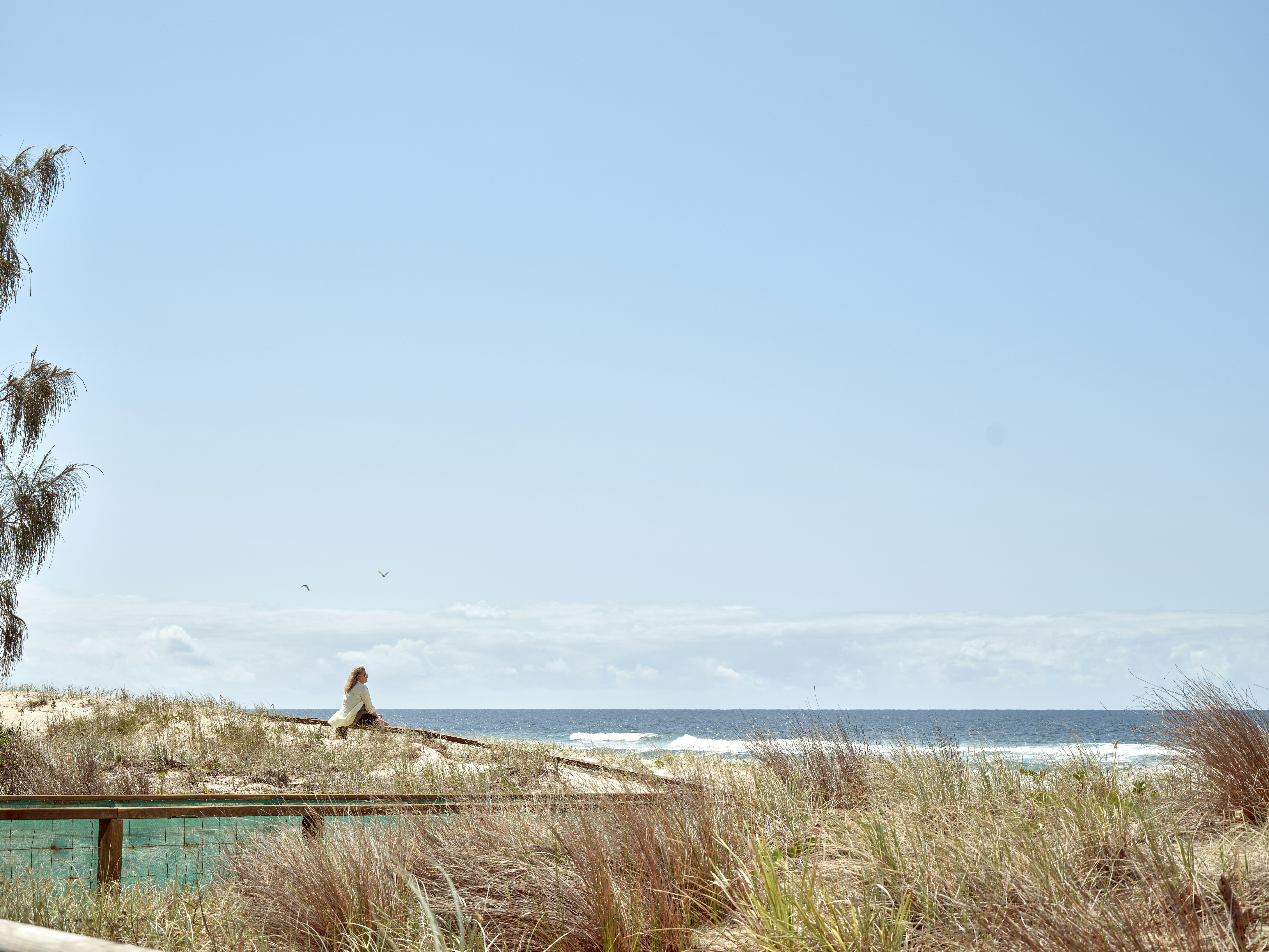 A bench sitting on top of a sandy beach