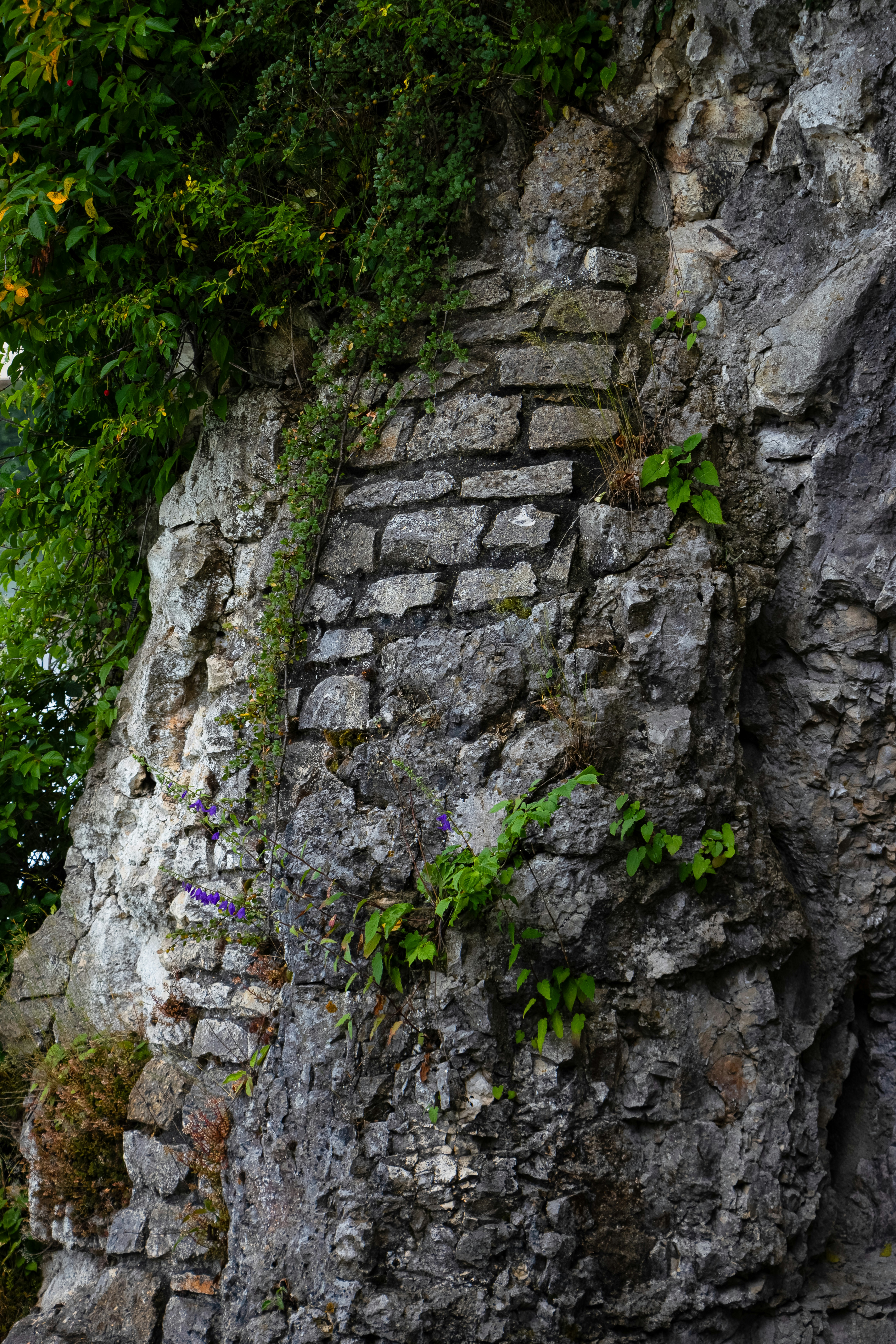 Photo by iamiliaafsharpoor