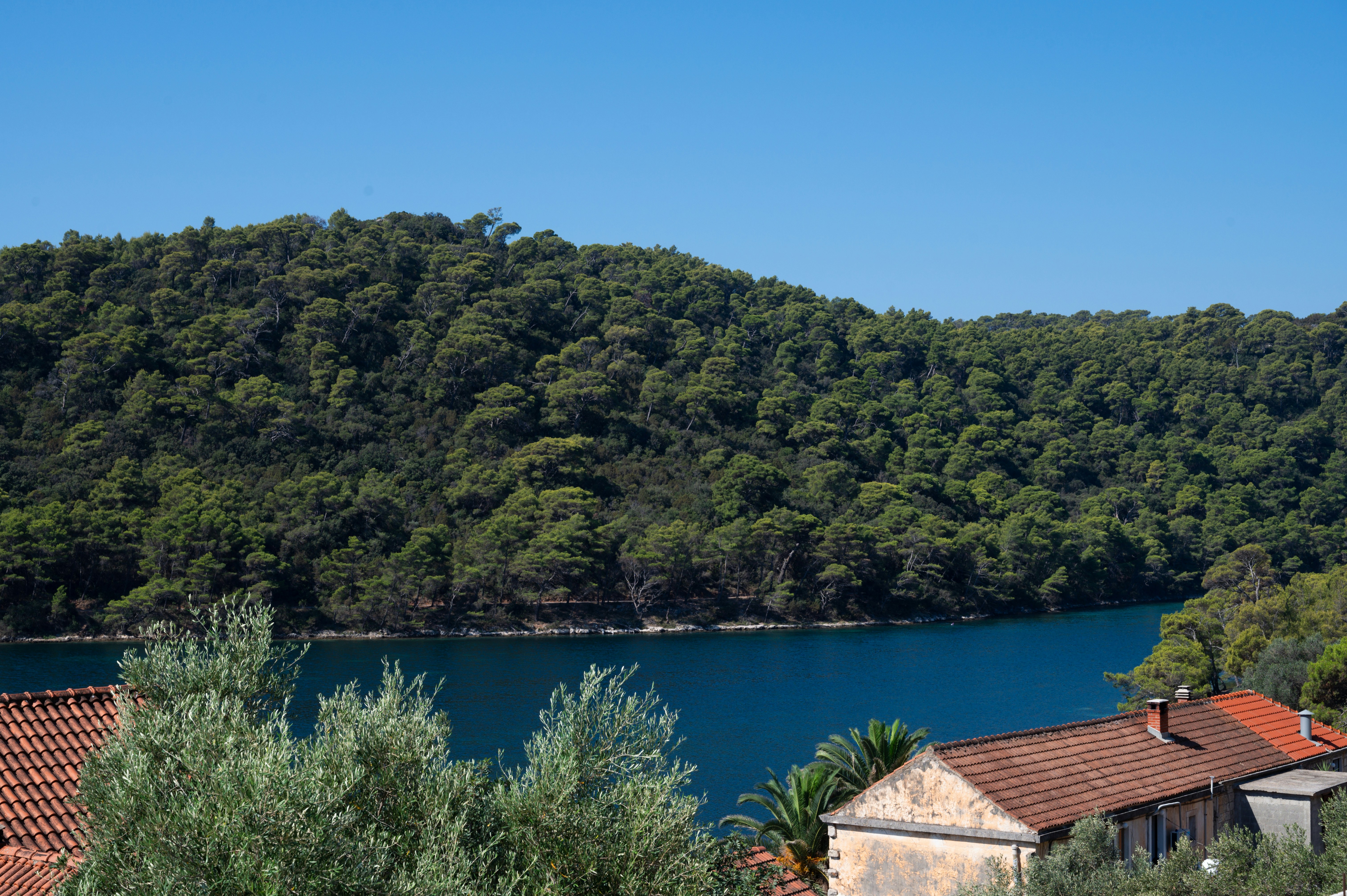 A view of a body of water surrounded by trees, 