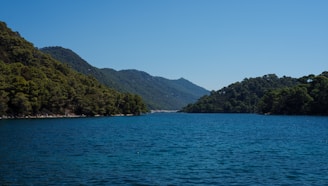 A body of water surrounded by mountains and trees