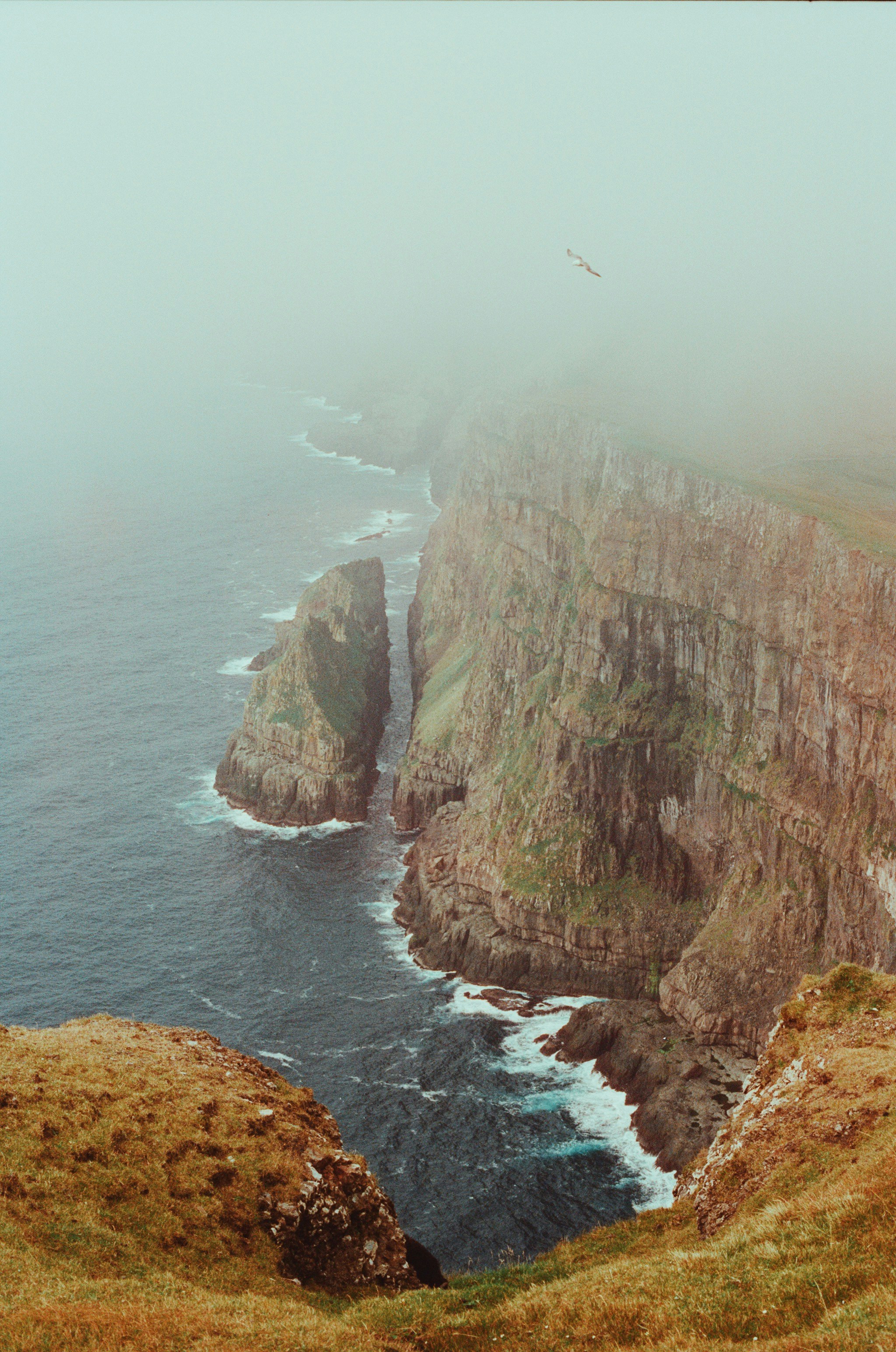 Photo by jo_negatives