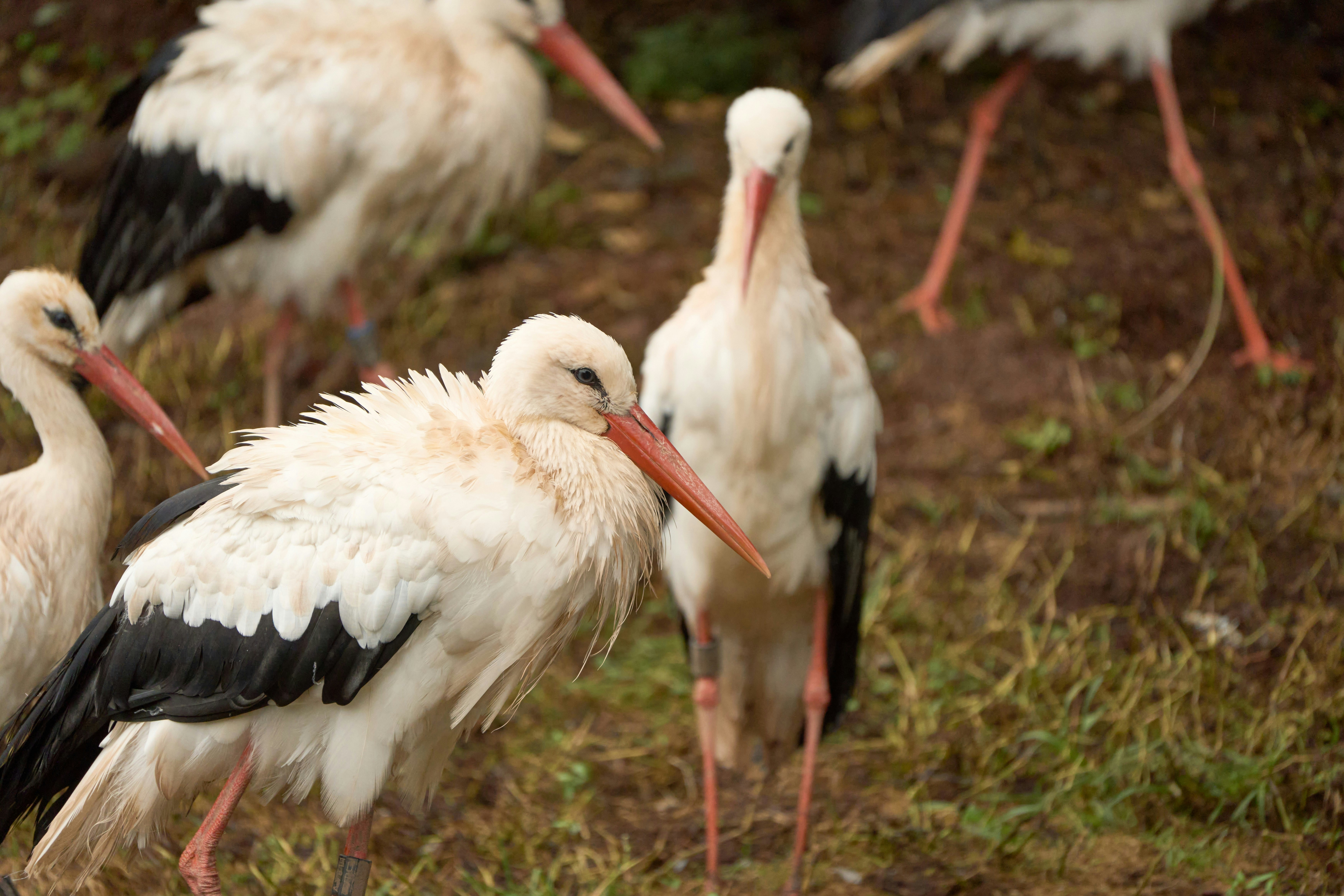 Photo by wolfgang_hasselmann