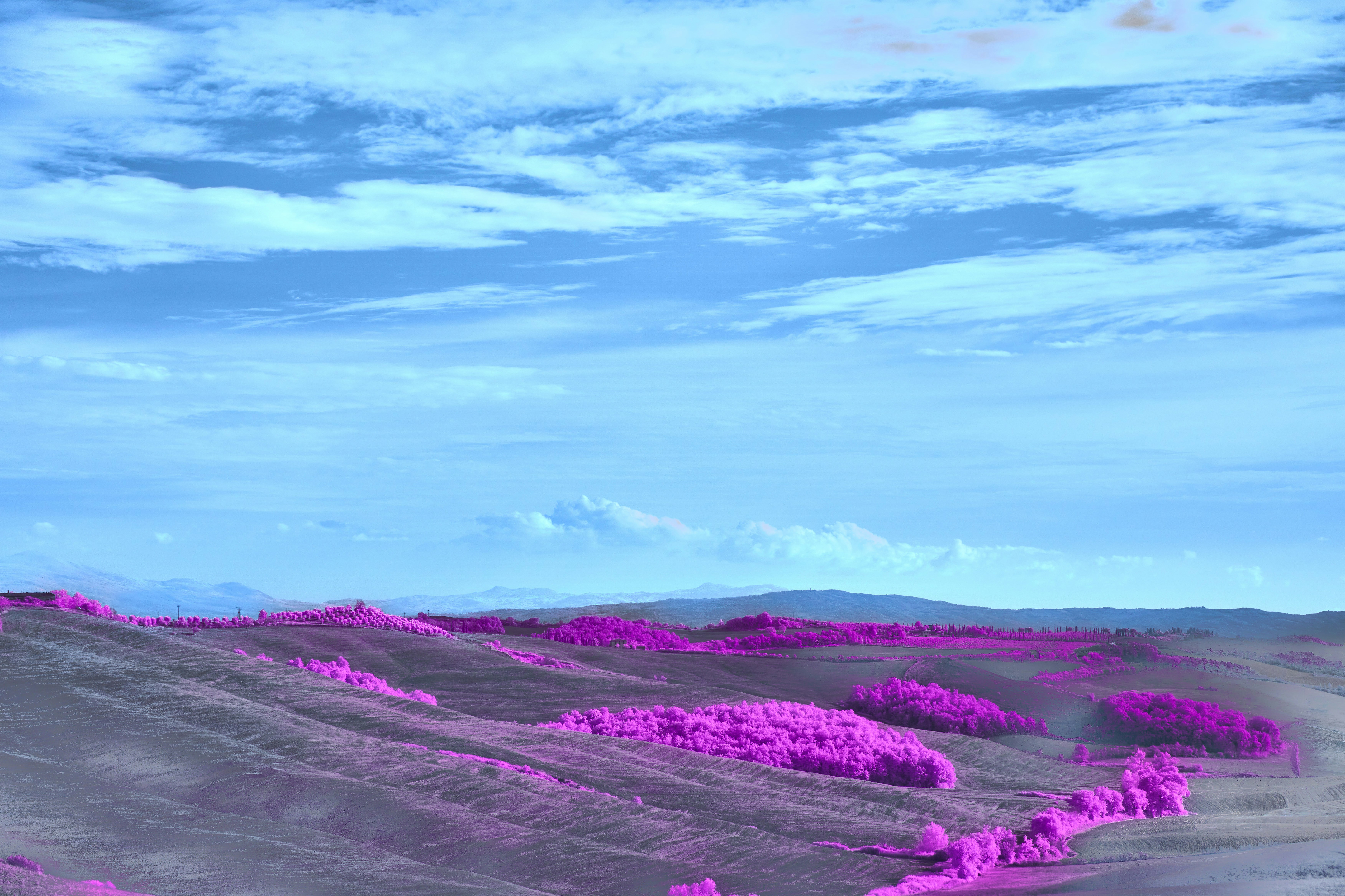 Photo by wolfgang_hasselmann