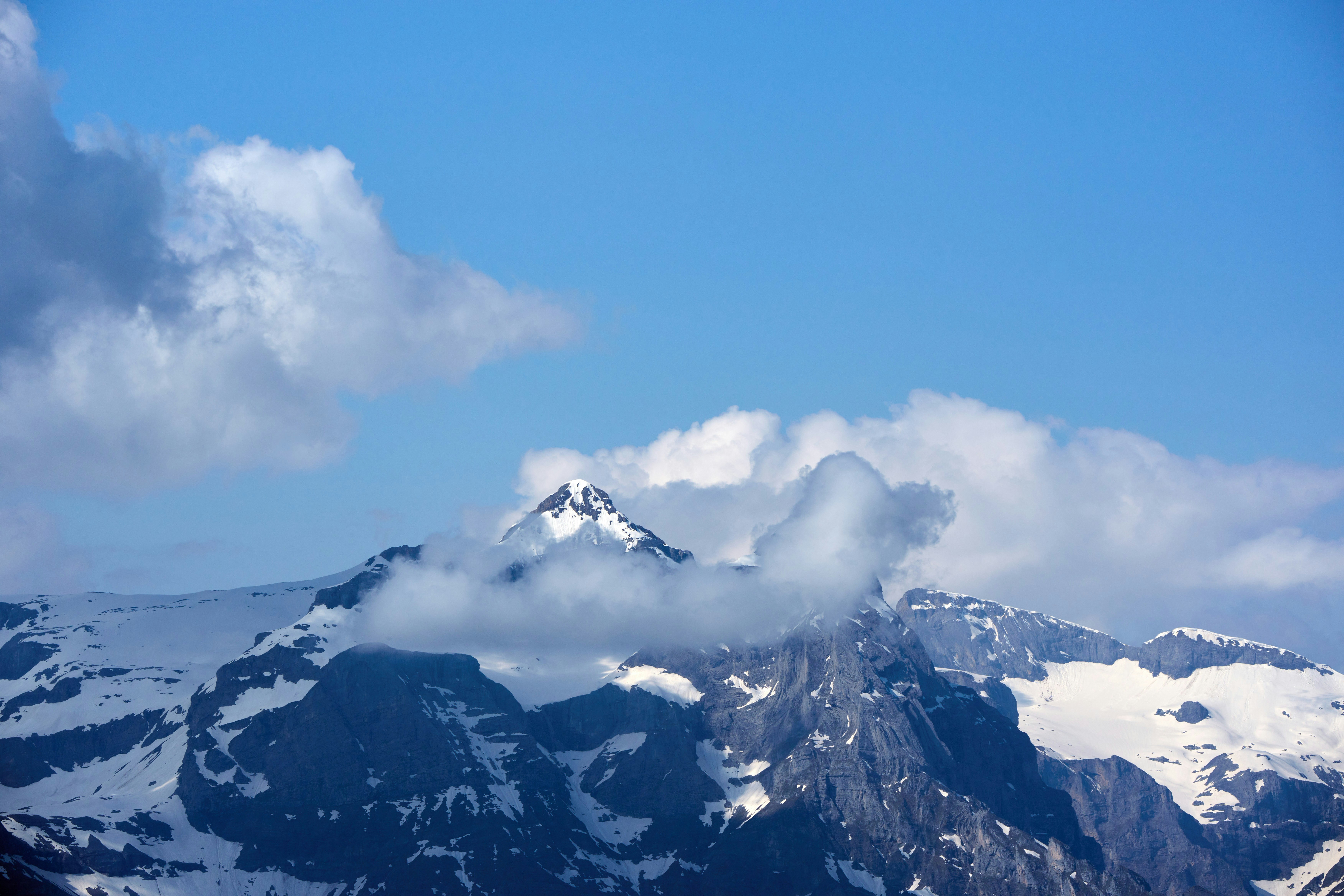 Photo by wolfgang_hasselmann