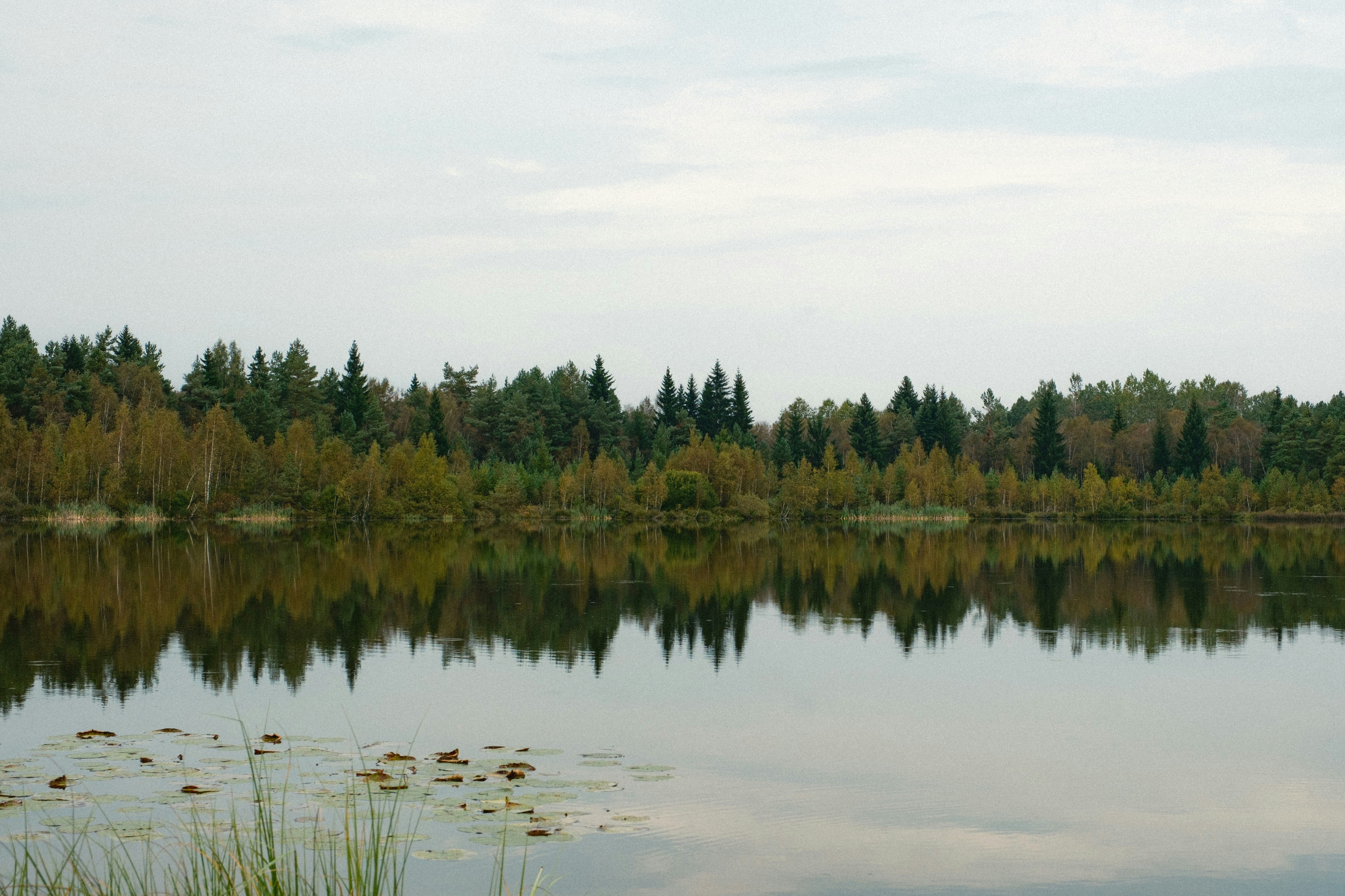 Photo by genet_schneider