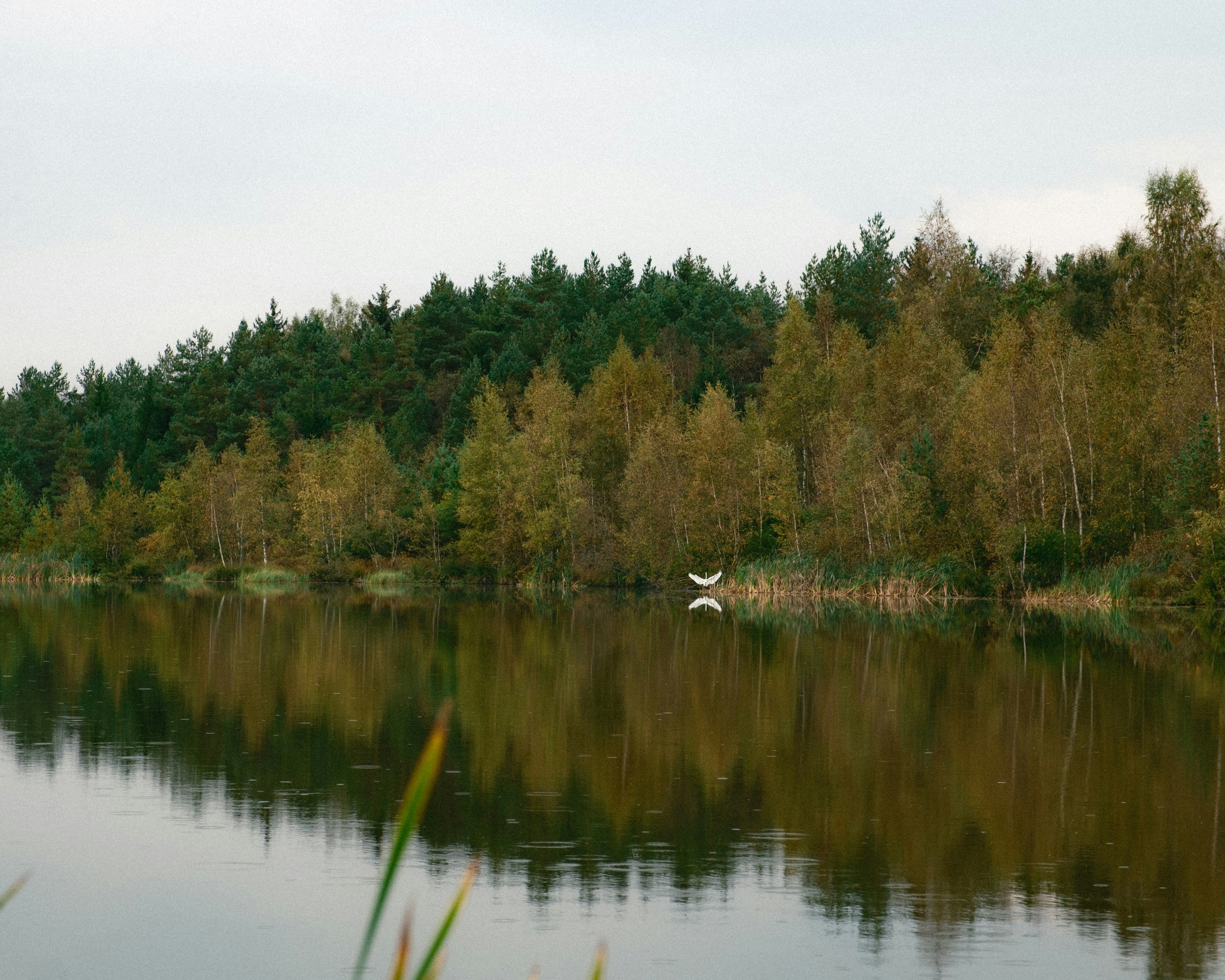 Photo by genet_schneider