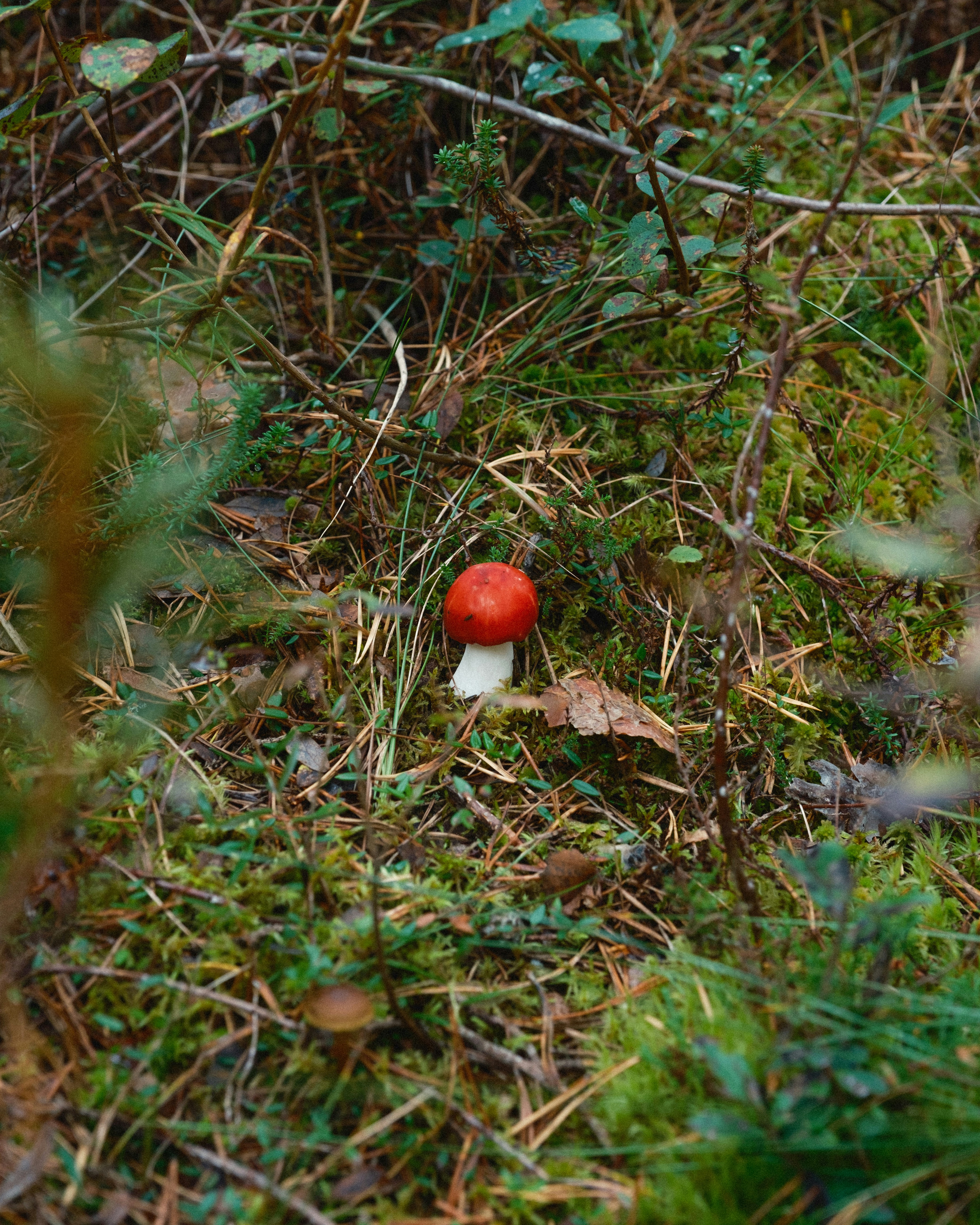 Photo by genet_schneider