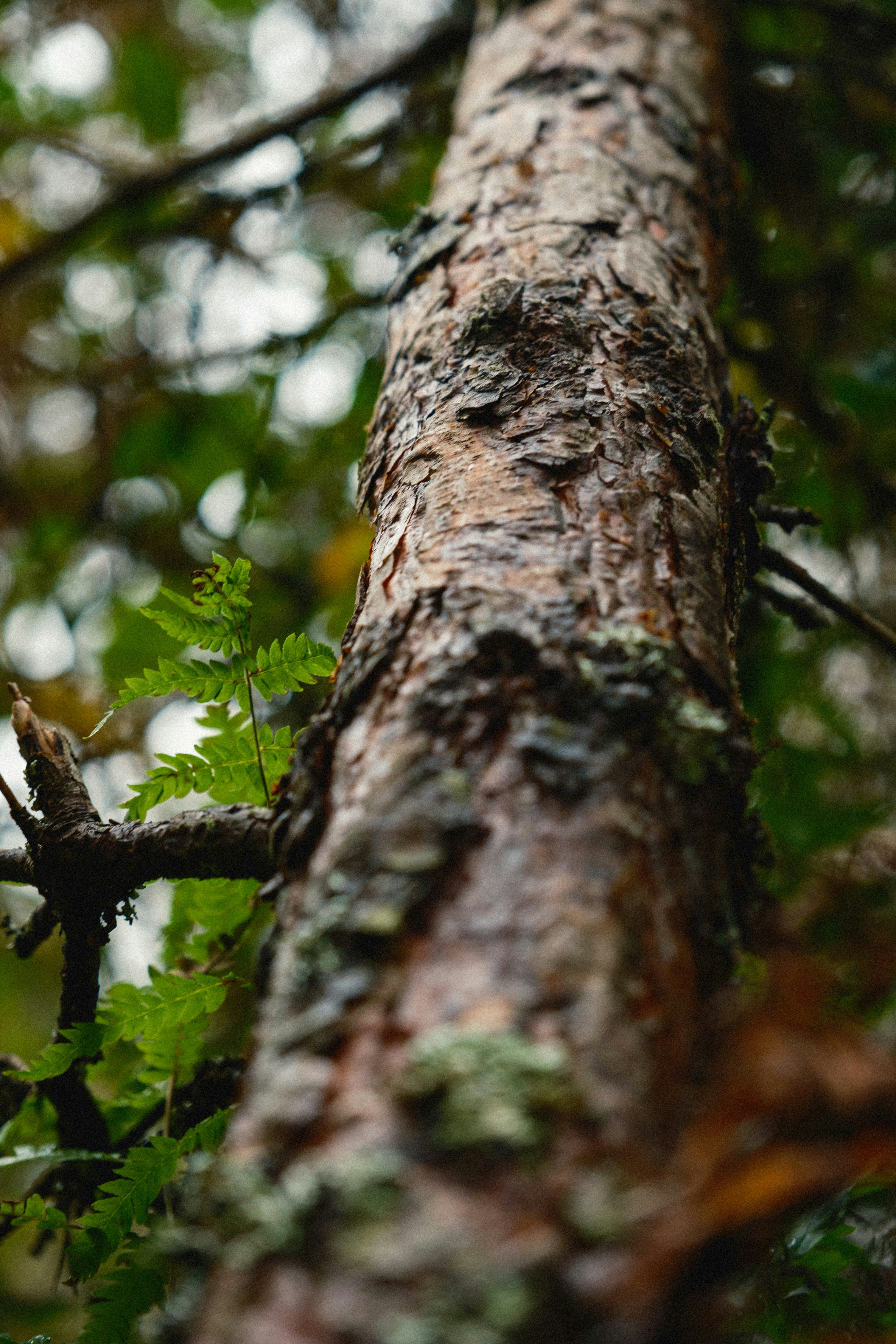 Photo by genet_schneider