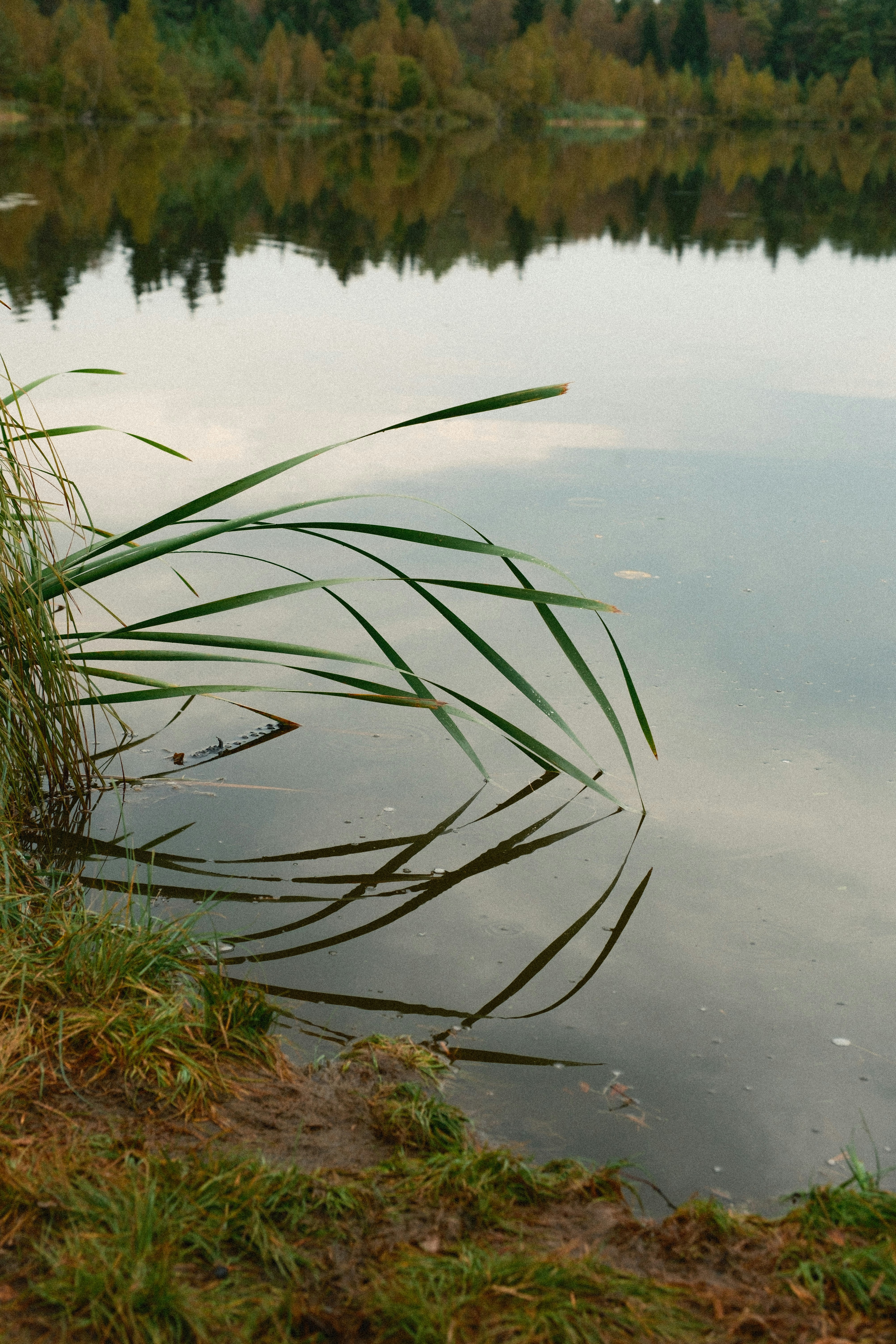 Photo by genet_schneider