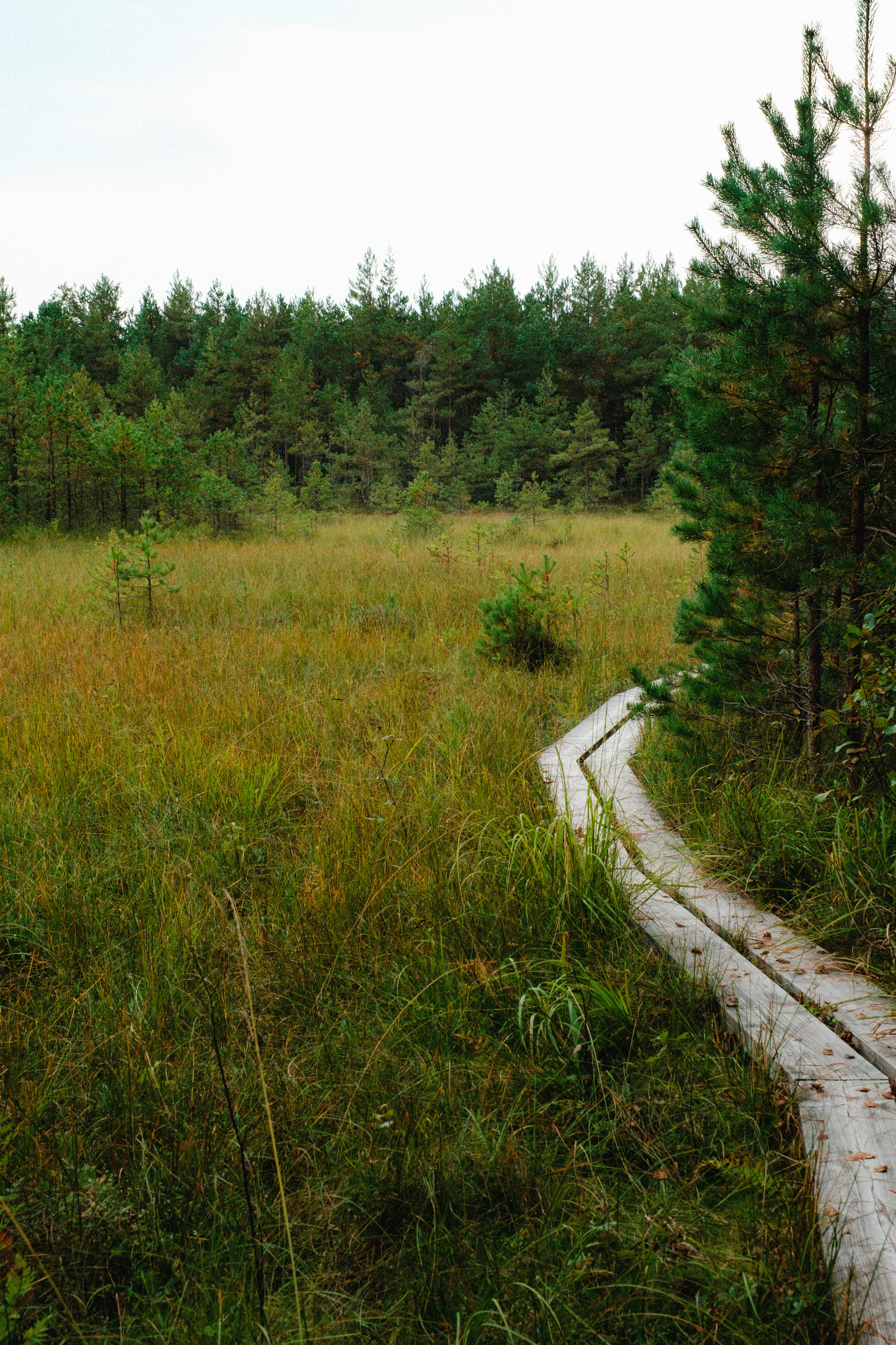 Photo by genet_schneider