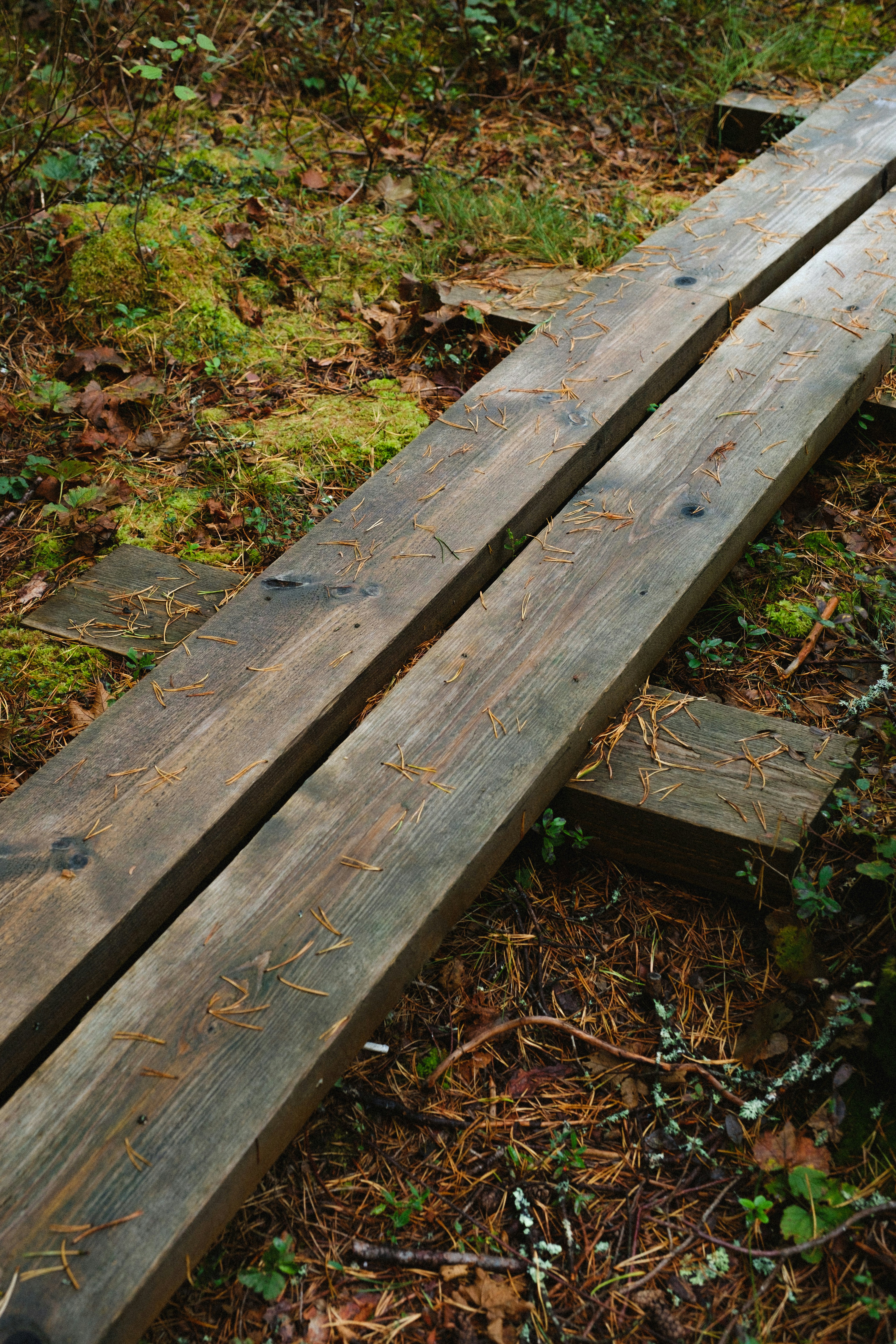 Photo by genet_schneider