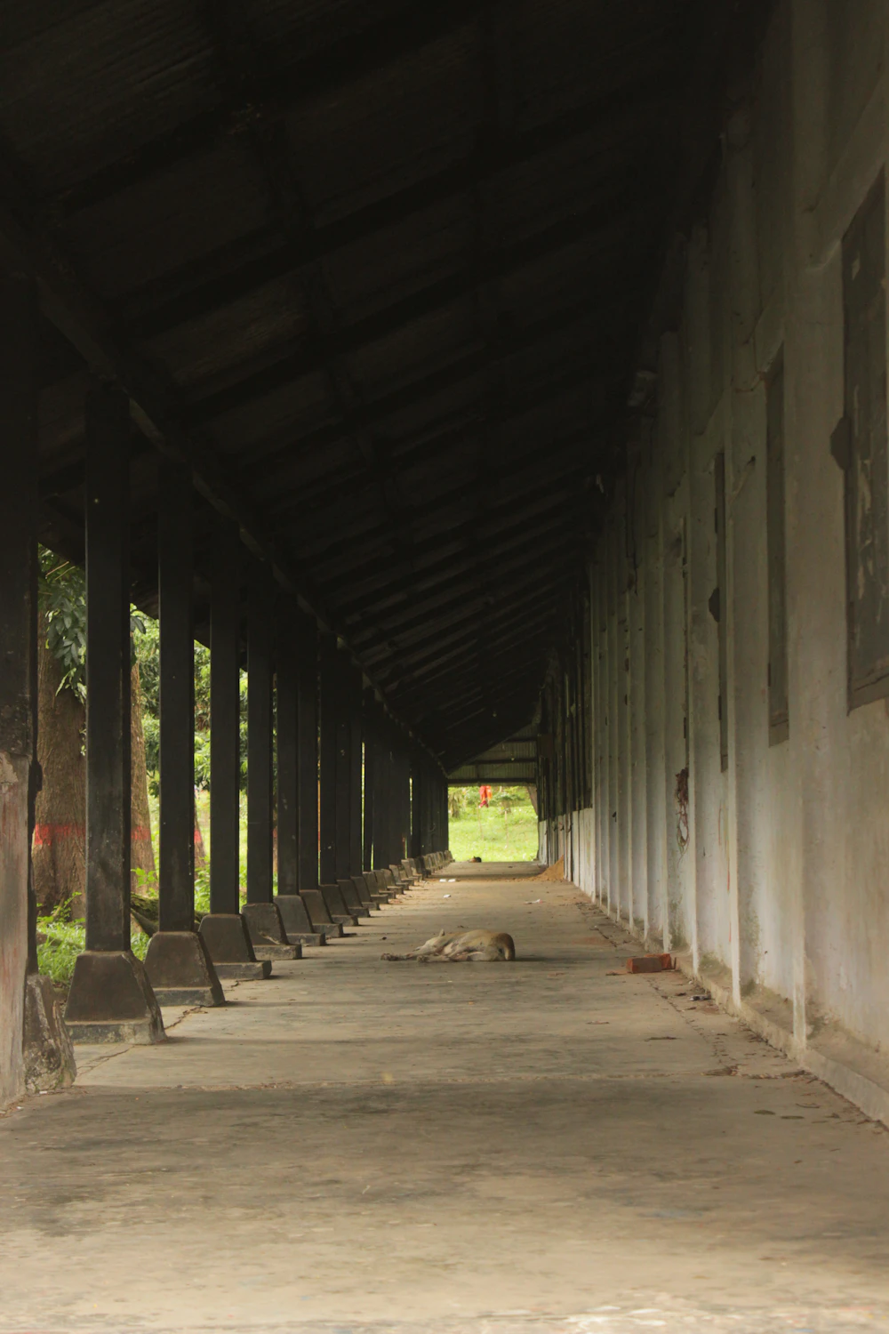 Corridor of a public building