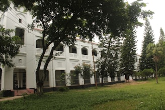 A large white building with trees in front of it