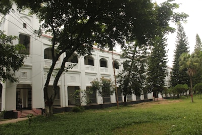 A large white building with trees in front of it