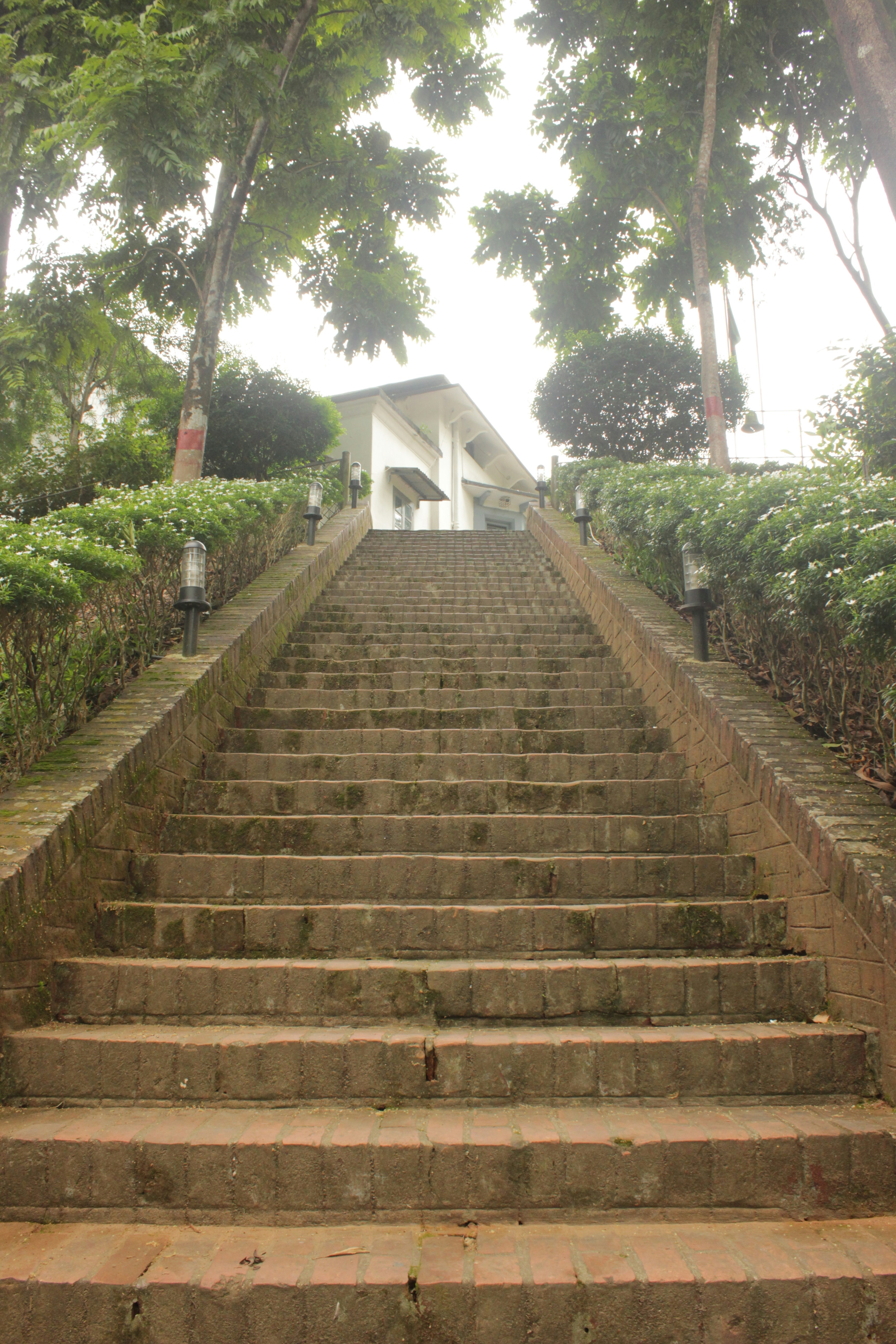 A set of stone steps leading up to a house