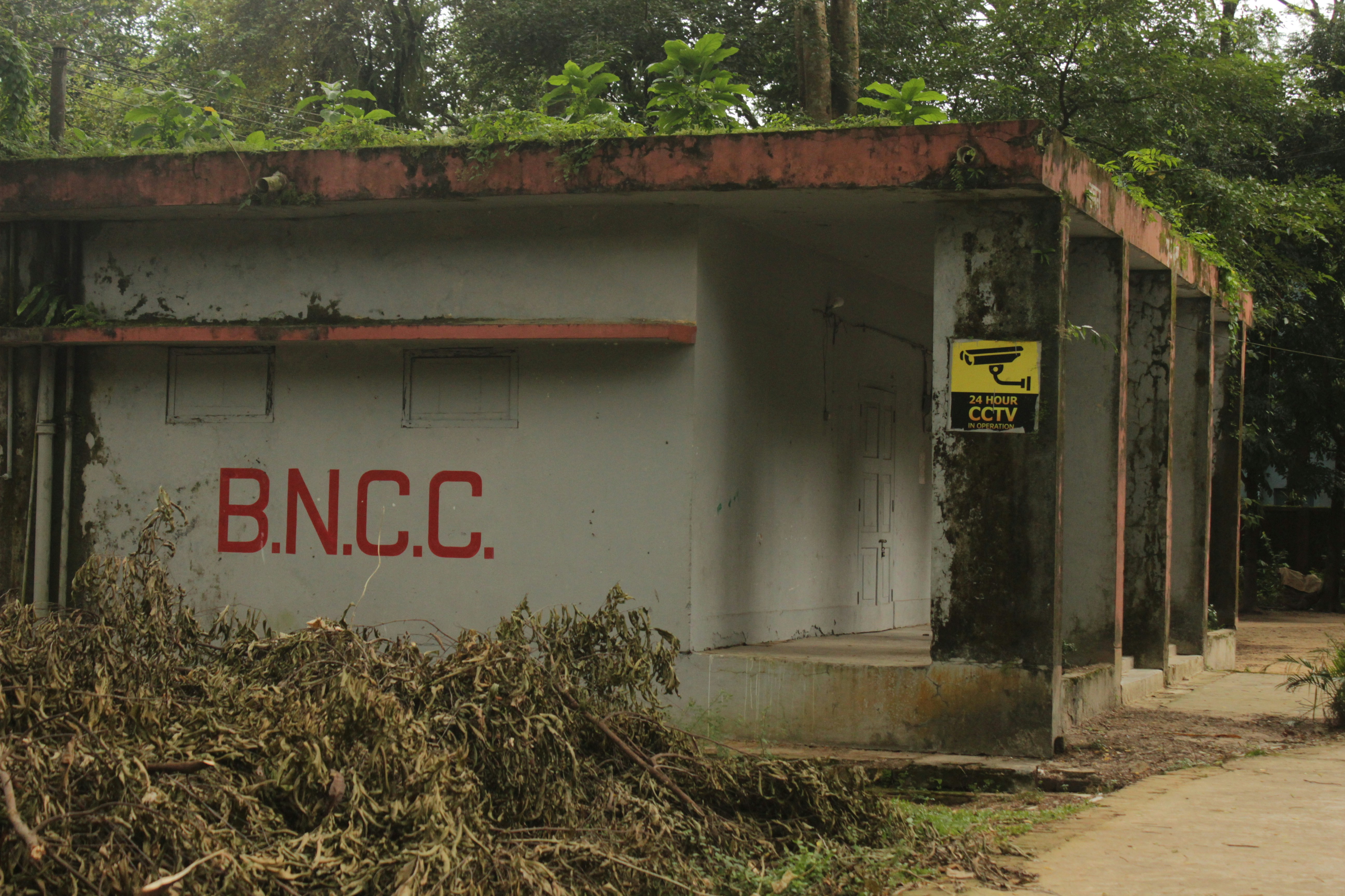 Green audit, Green audit services