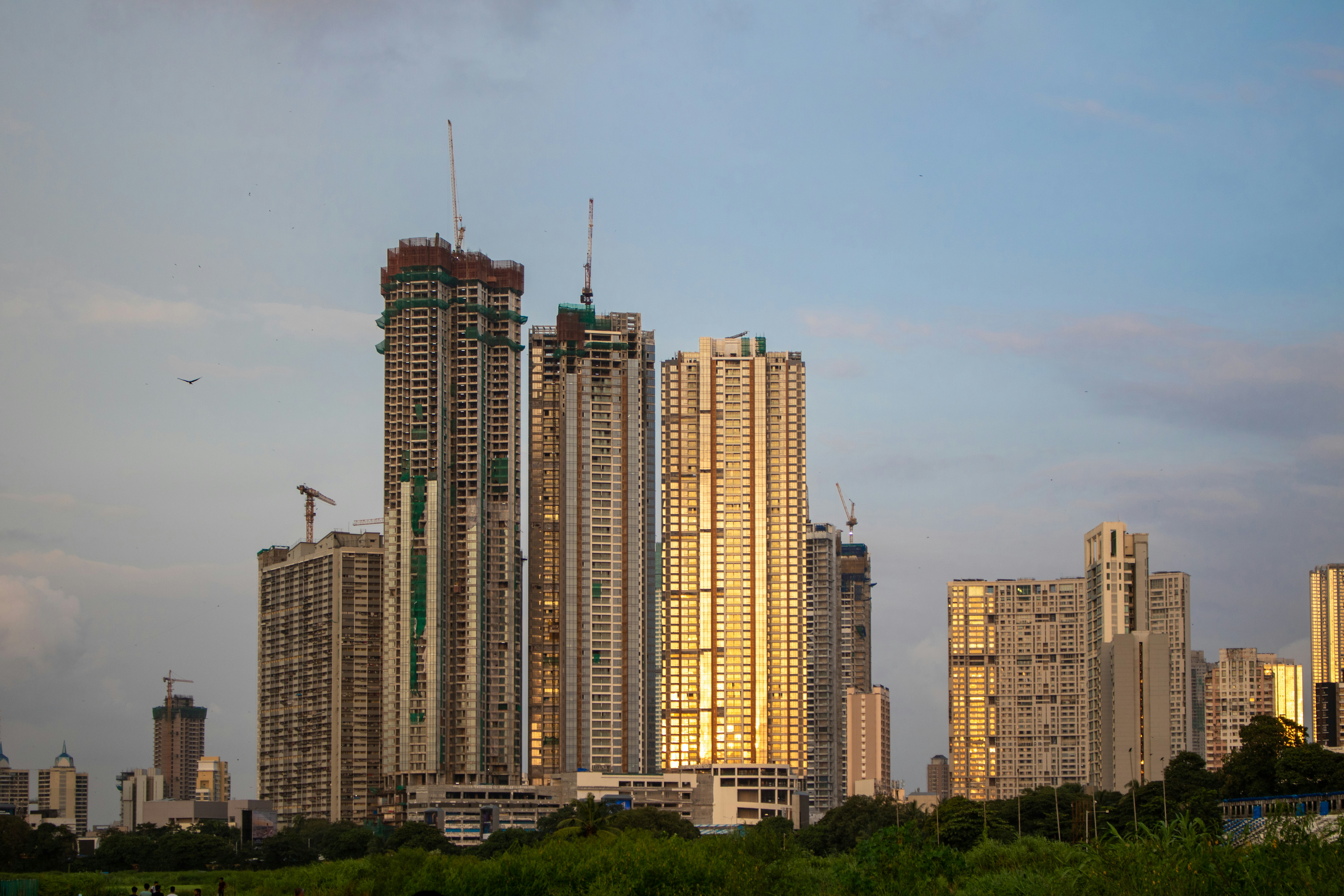 Photo by zoshuacolah