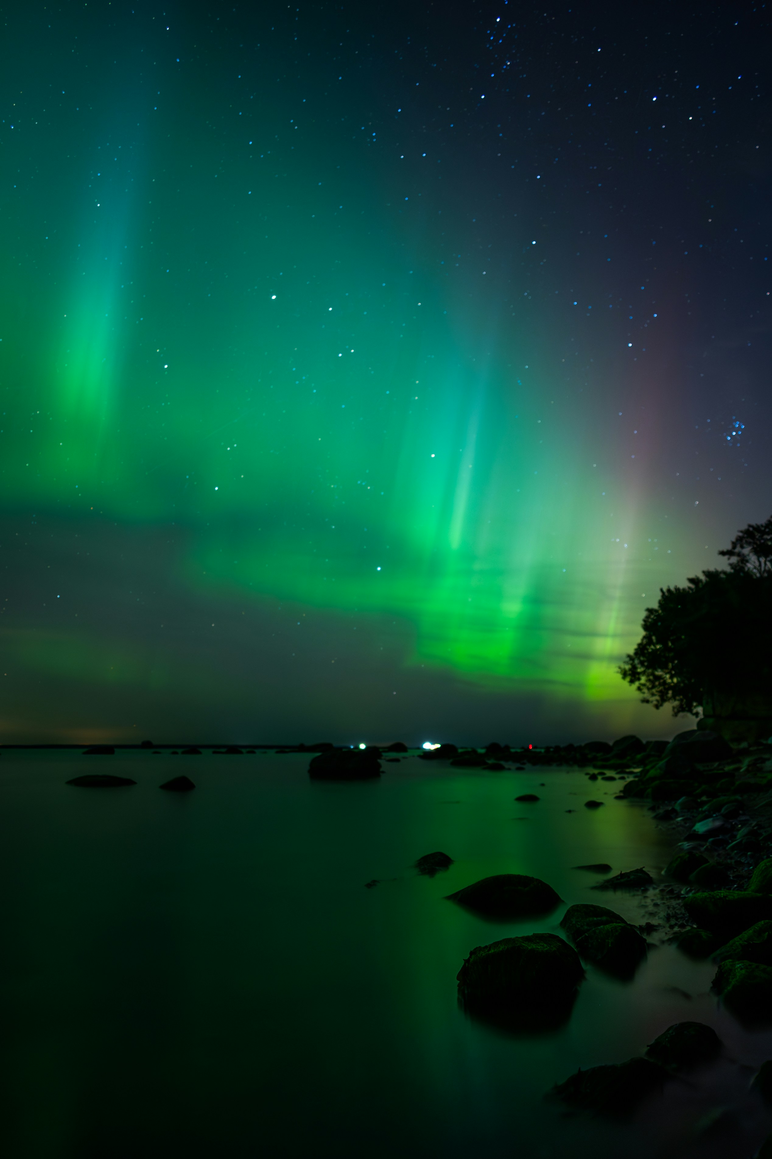 Photo by sanderhallaste
